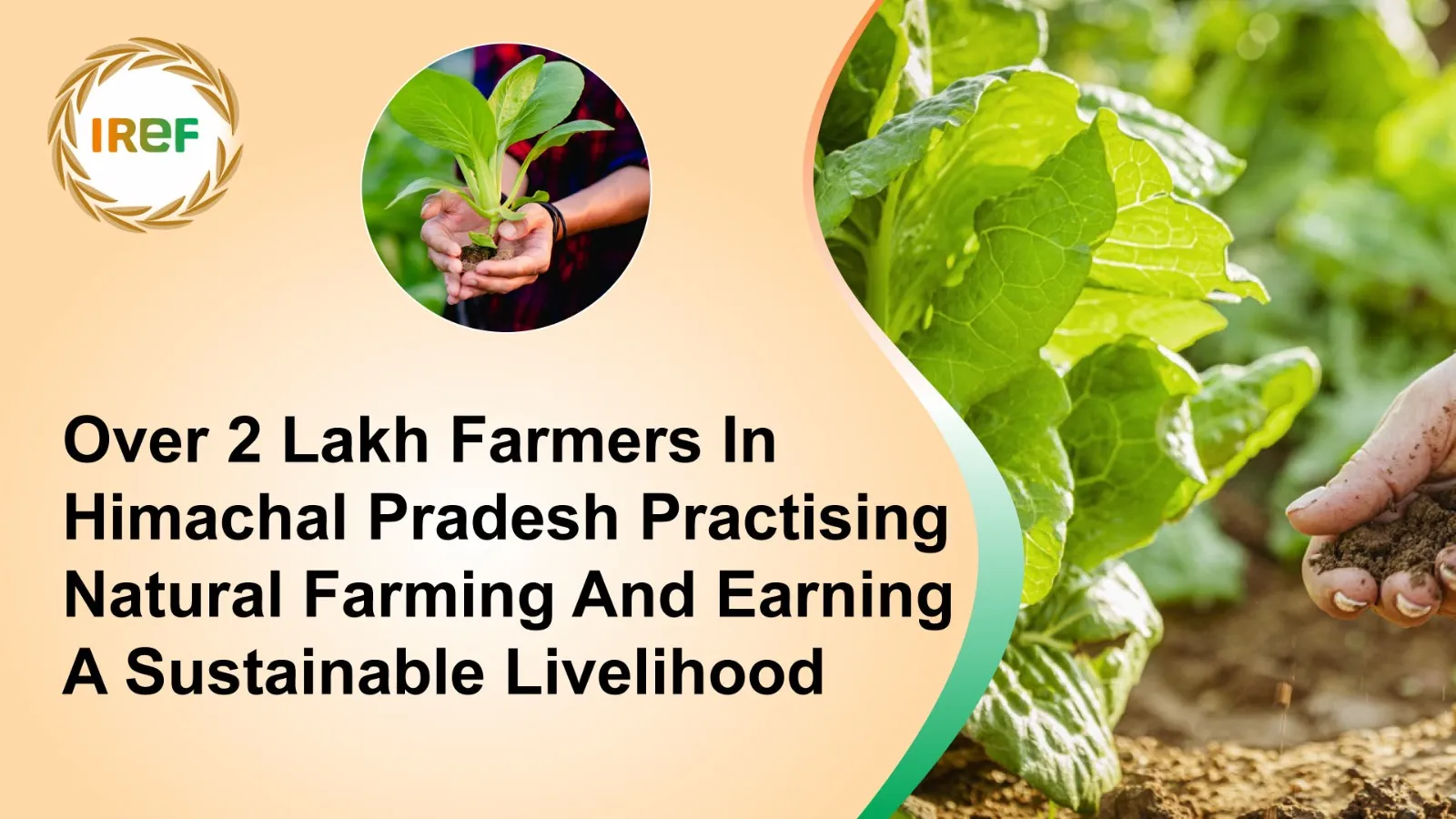 Over 2 Lakh Farmers In Himachal Pradesh Practising Natural Farming And Earning A Sustainable Livelihood