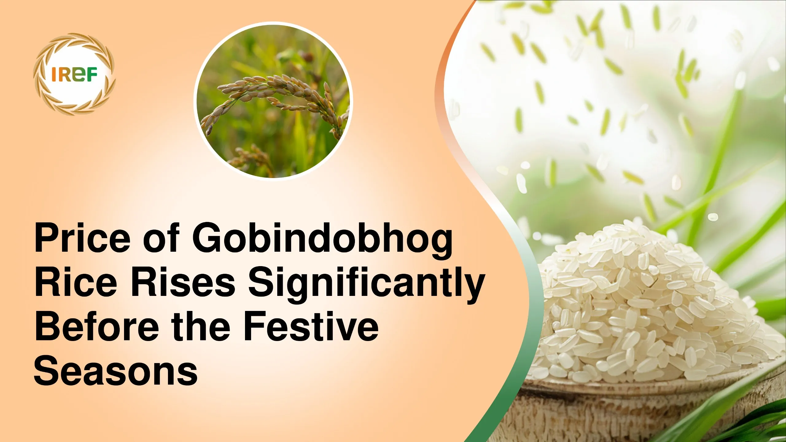 Price of Gobindobhog Rice Rises Significantly Before the Festive Seasons