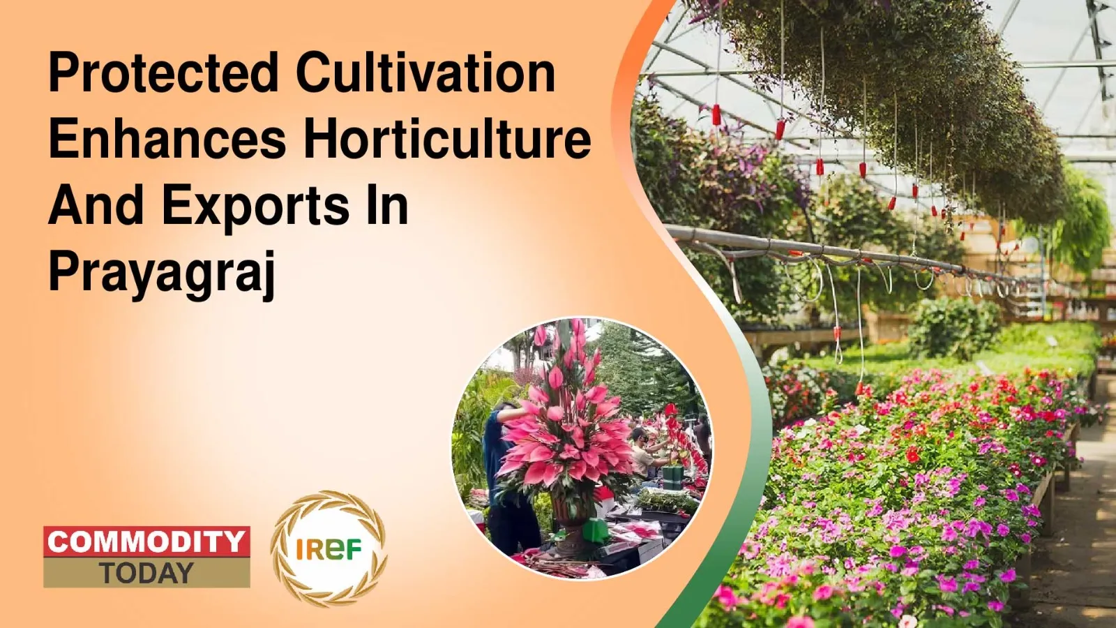 Protected Cultivation Enhances Horticulture And Exports In Prayagraj