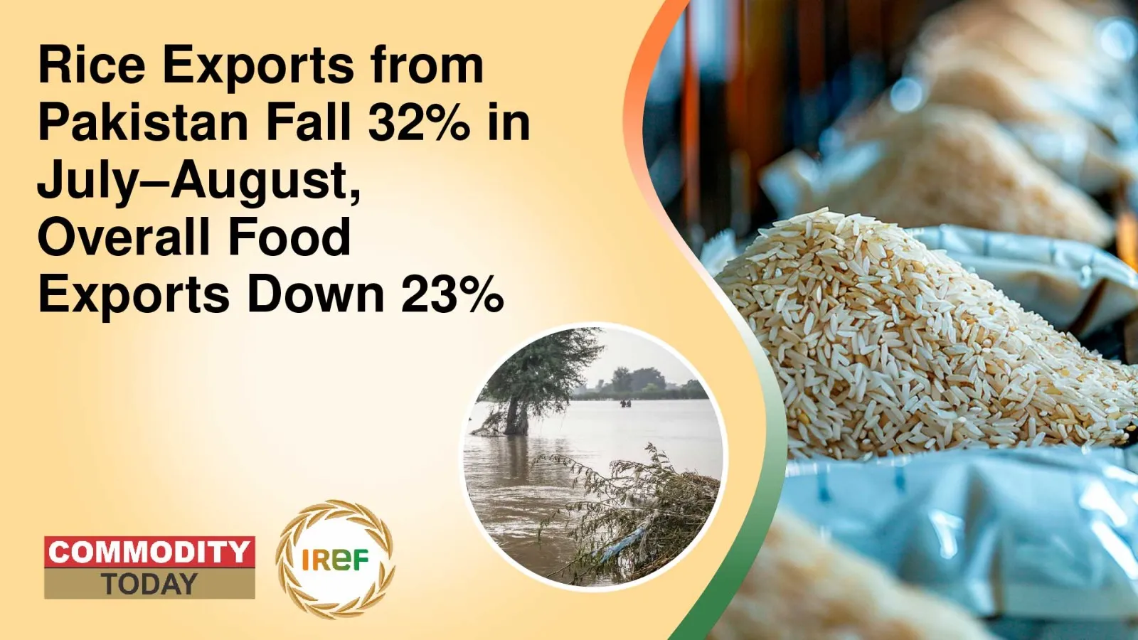 Rice Exports from Pakistan Fall 32% in July–August, Overall Food Exports Down 23%