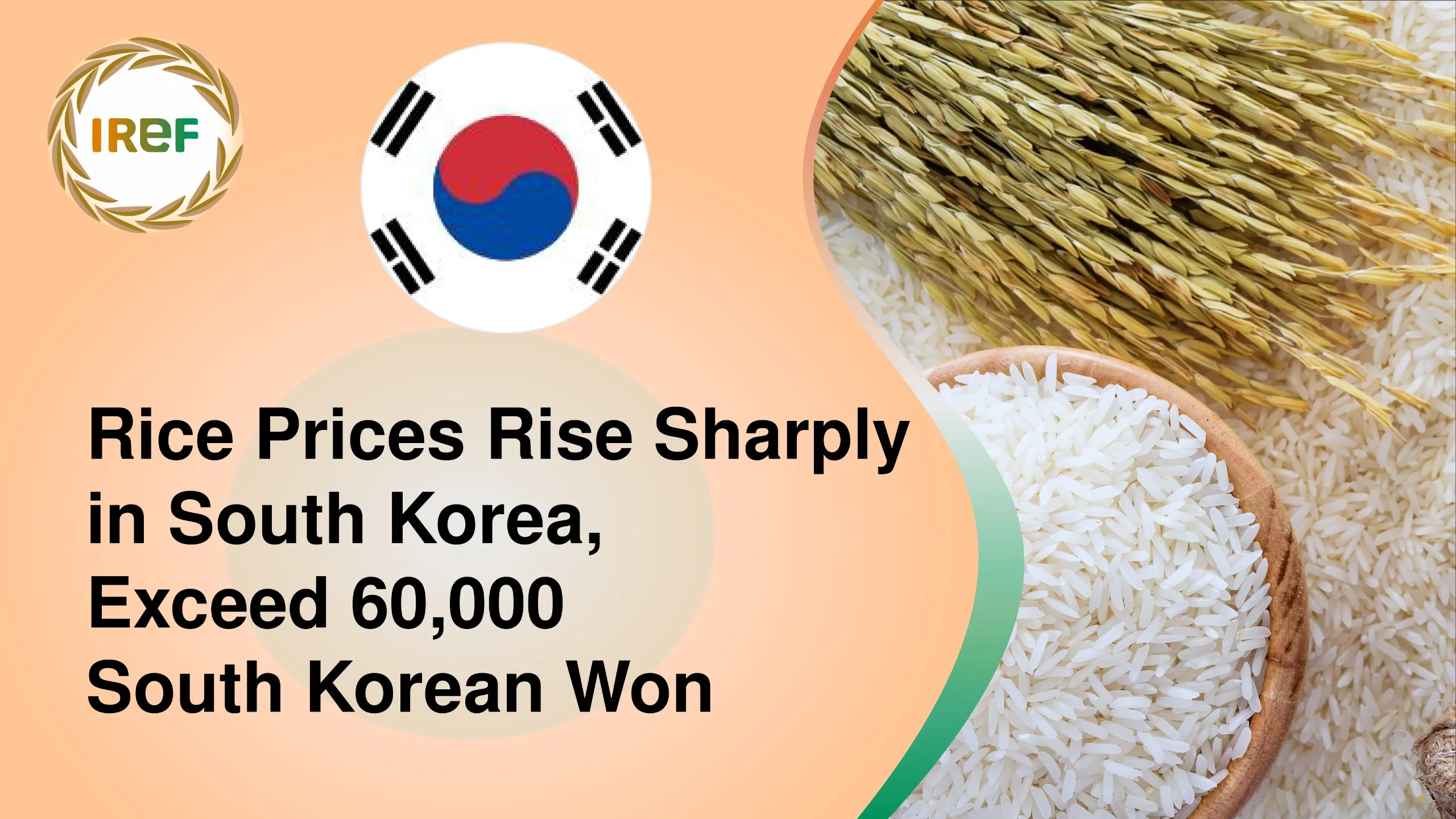 Rice Prices Rise Sharply in South Korea, Exceed 60,000 South Korean Won