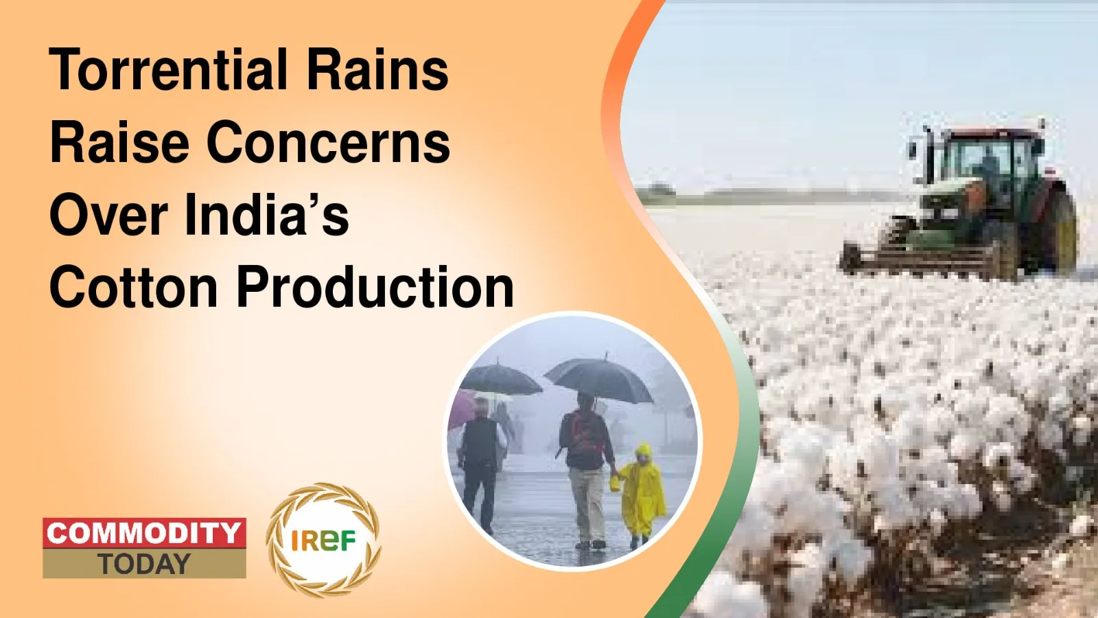 Torrential Rains Raise Concerns Over India’s Cotton Production