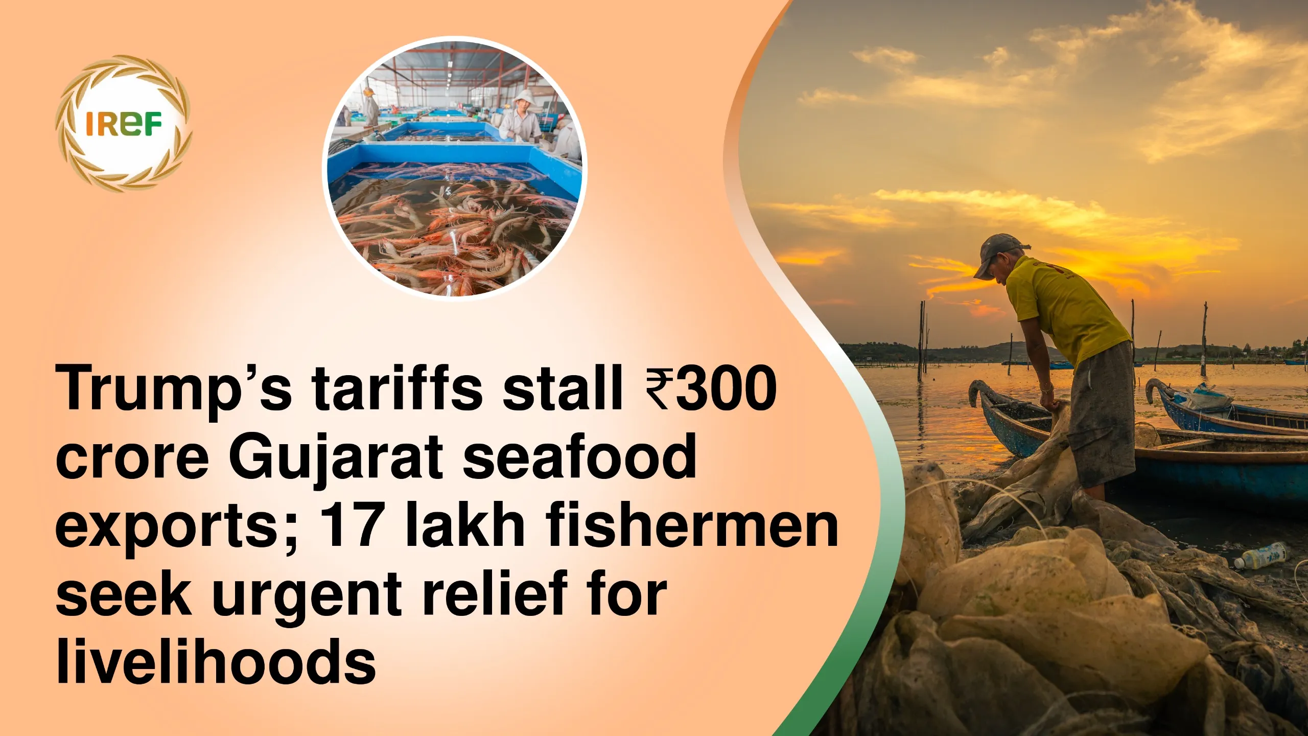 Trump’s tariffs stall ₹300 crore Gujarat seafood exports; 17 lakh fishermen seek urgent relief for livelihoods