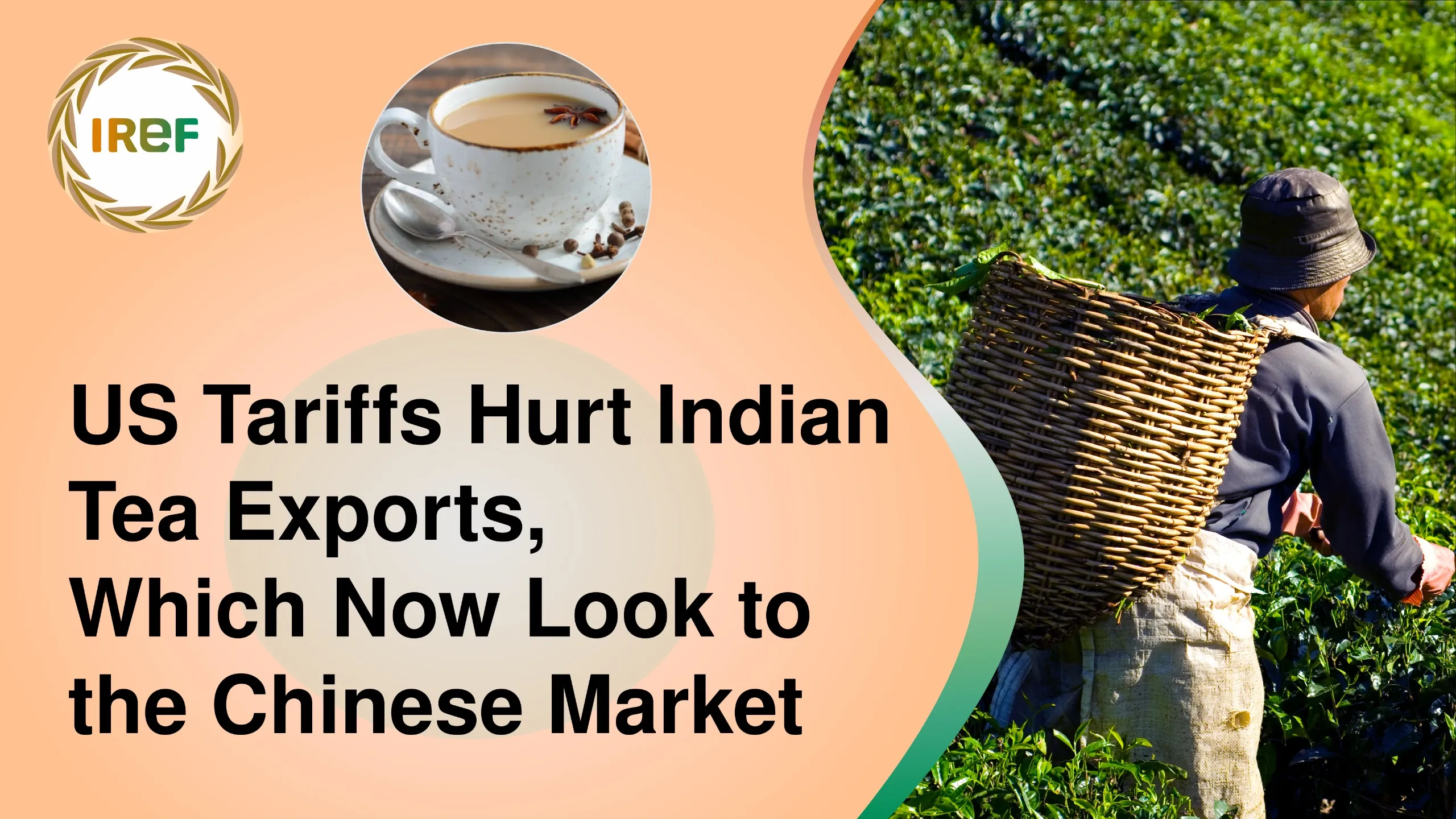 US Tariffs Hurt Indian Tea Exports, Which Now Look to the Chinese Market