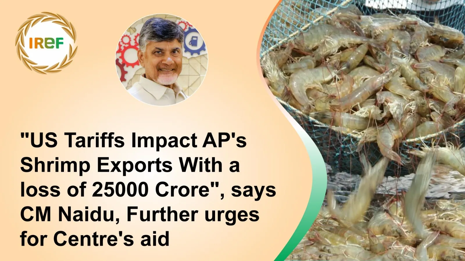 “US Tariffs Impact AP’s Shrimp Exports With a loss of 25000 Crore”, says CM Naidu, Further urges for Centre’s aid