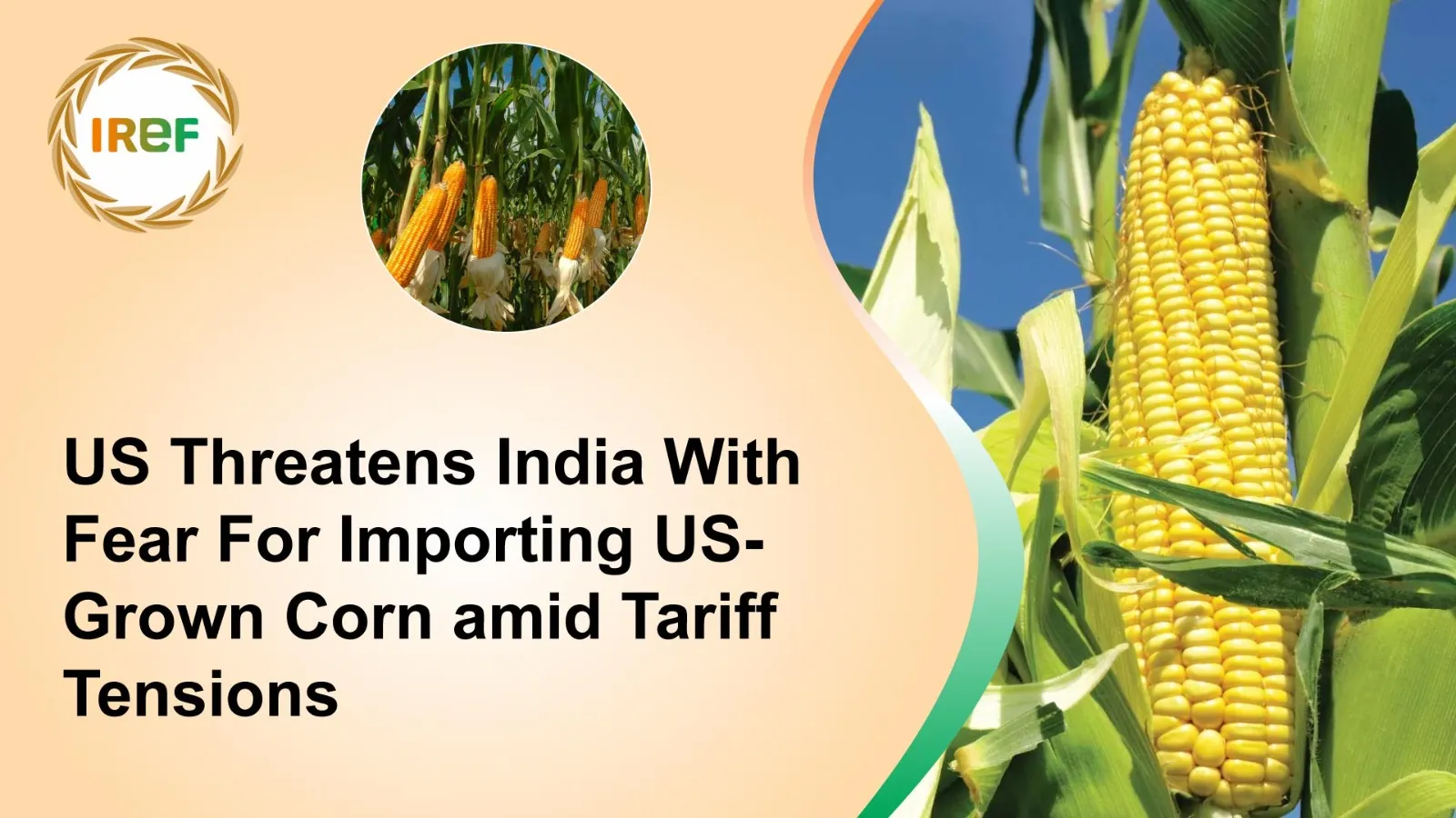 US Threatens India With Fear For Importing US-Grown Corn amid Tariff Tensions