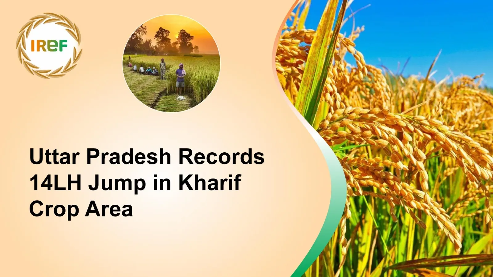 Uttar Pradesh Records 14 Lakh Hectare Jump in Kharif Crop Area
