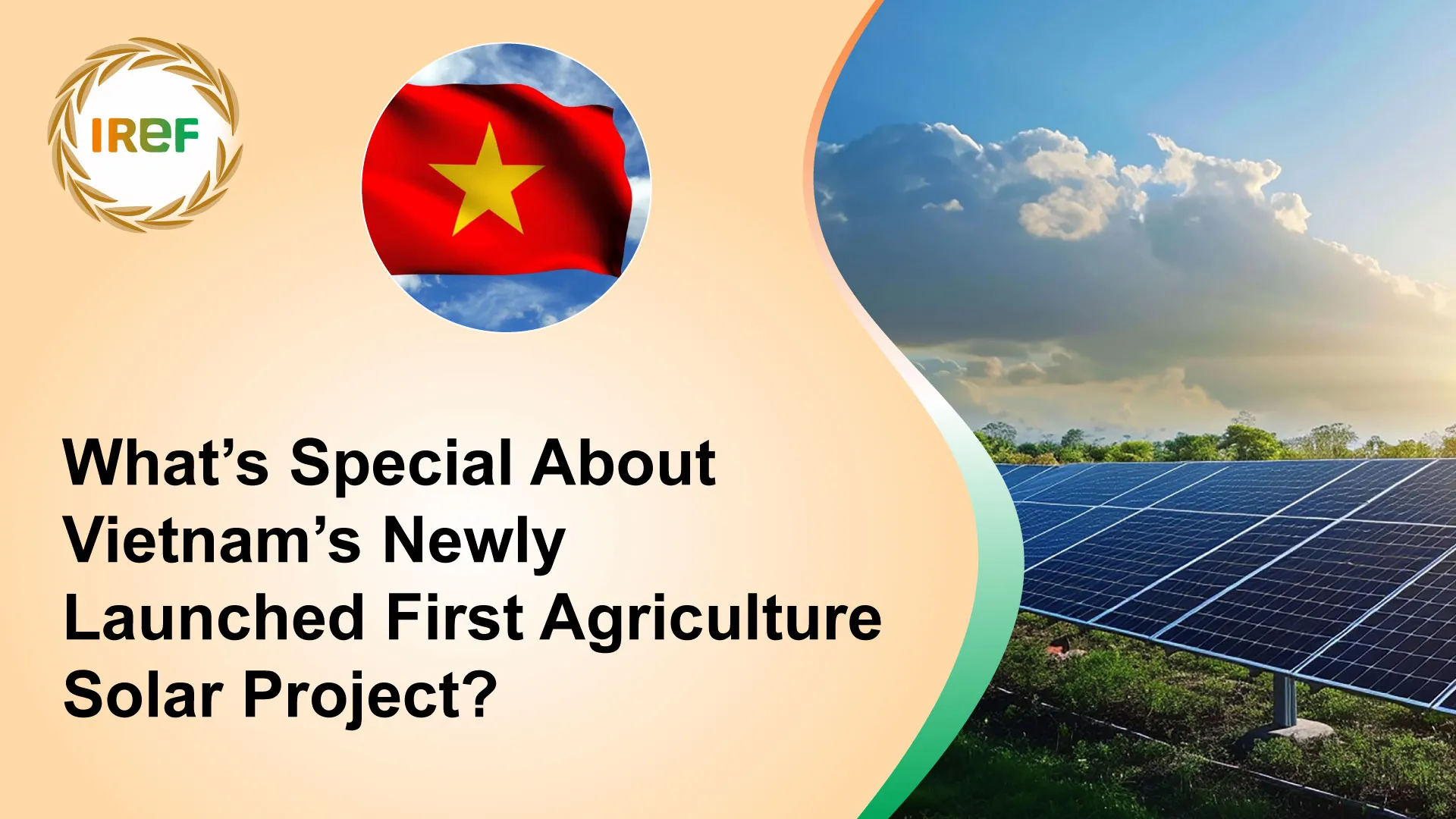 What’s Special About Vietnam’s Newly Launched First Agriculture Solar Project?