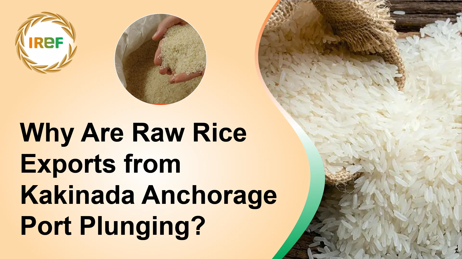 Why Are Raw Rice Exports from Kakinada Anchorage Port Plunging?