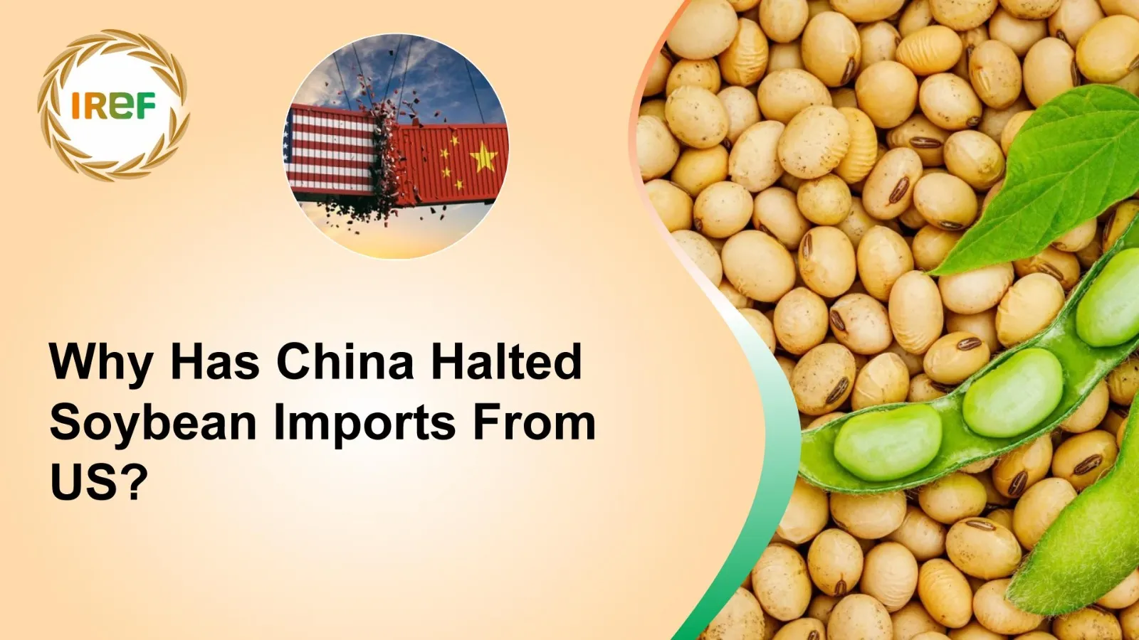 Why Has China Halted Soybean Imports From US?