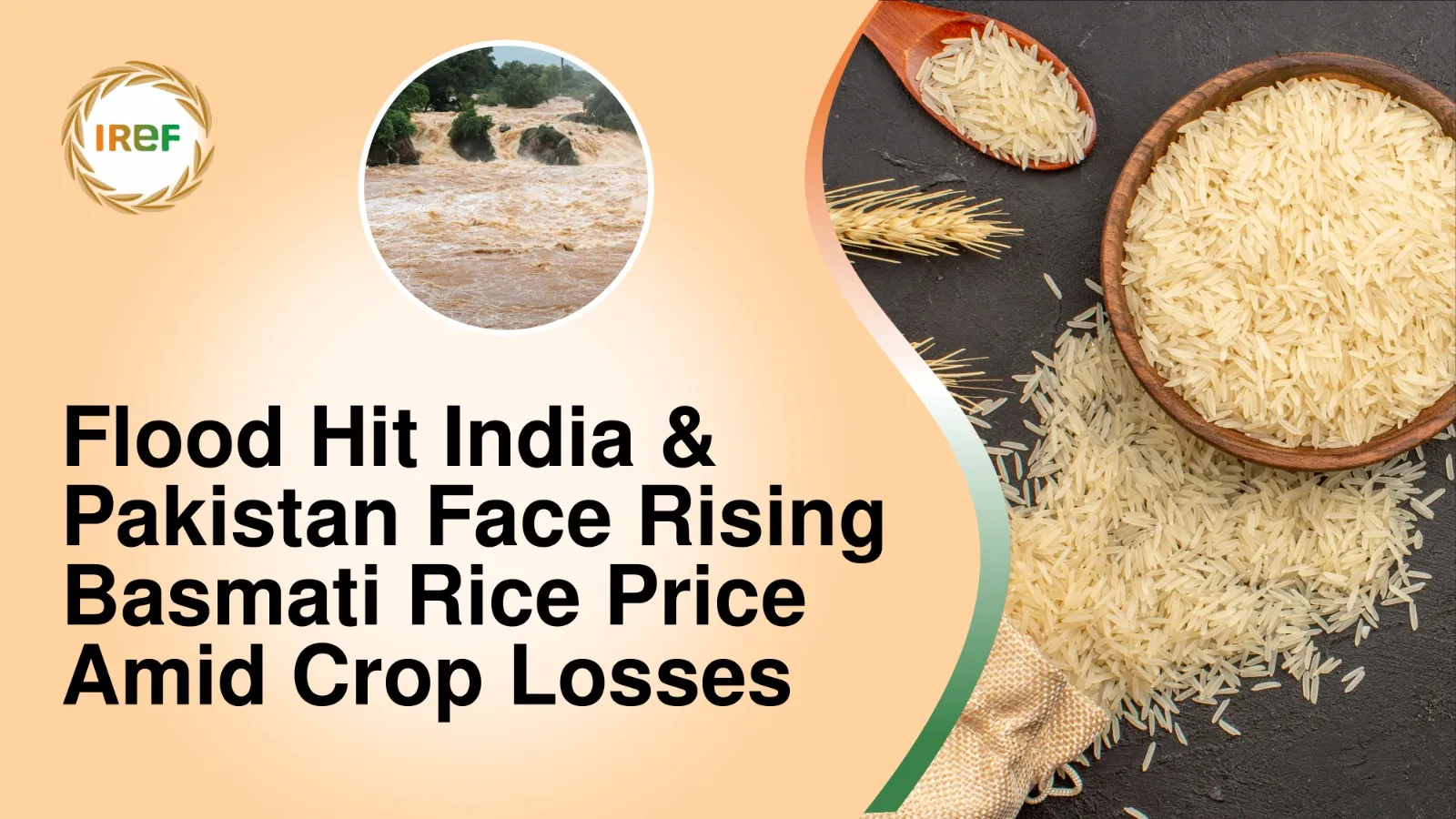Flood Hit India & Pakistan Face Rising Basmati Rice Price Amid Crop Losses