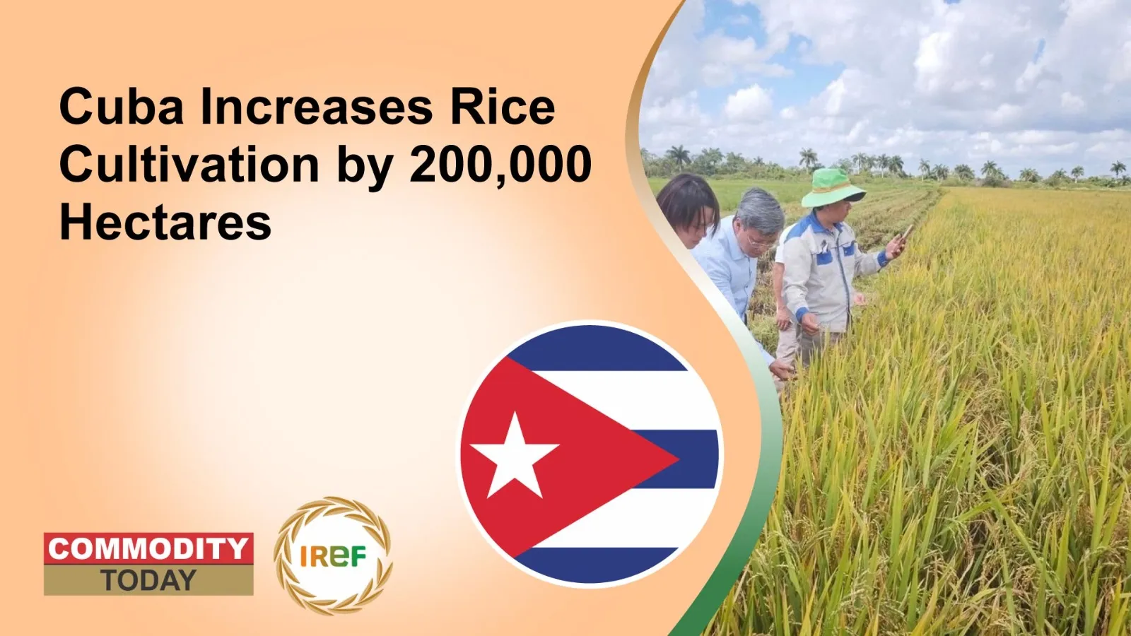 Cuba Increases Rice Cultivation by 200,000 Hectares