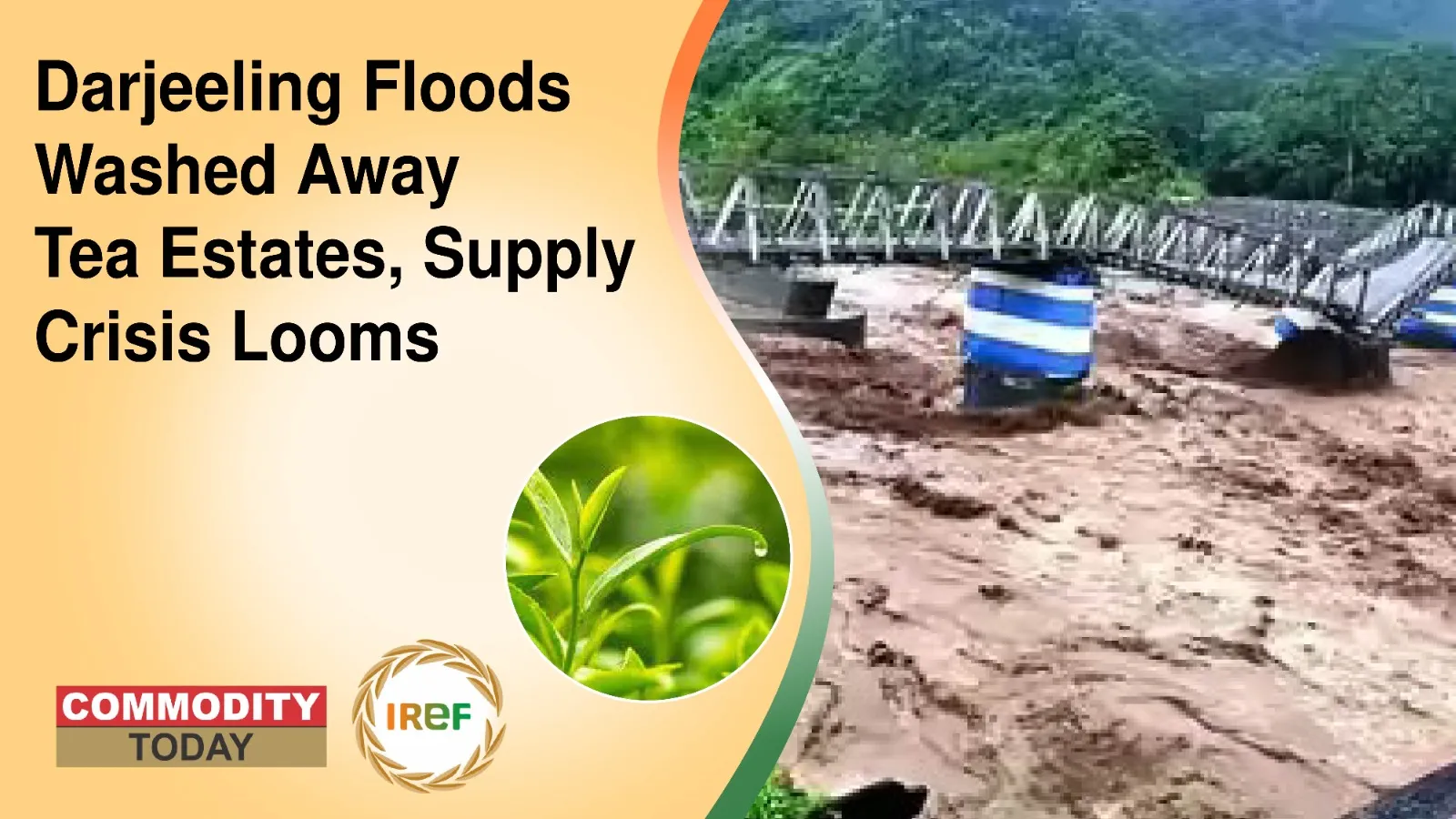 Darjeeling Floods Washed Away Tea Estates, Supply Crisis Looms