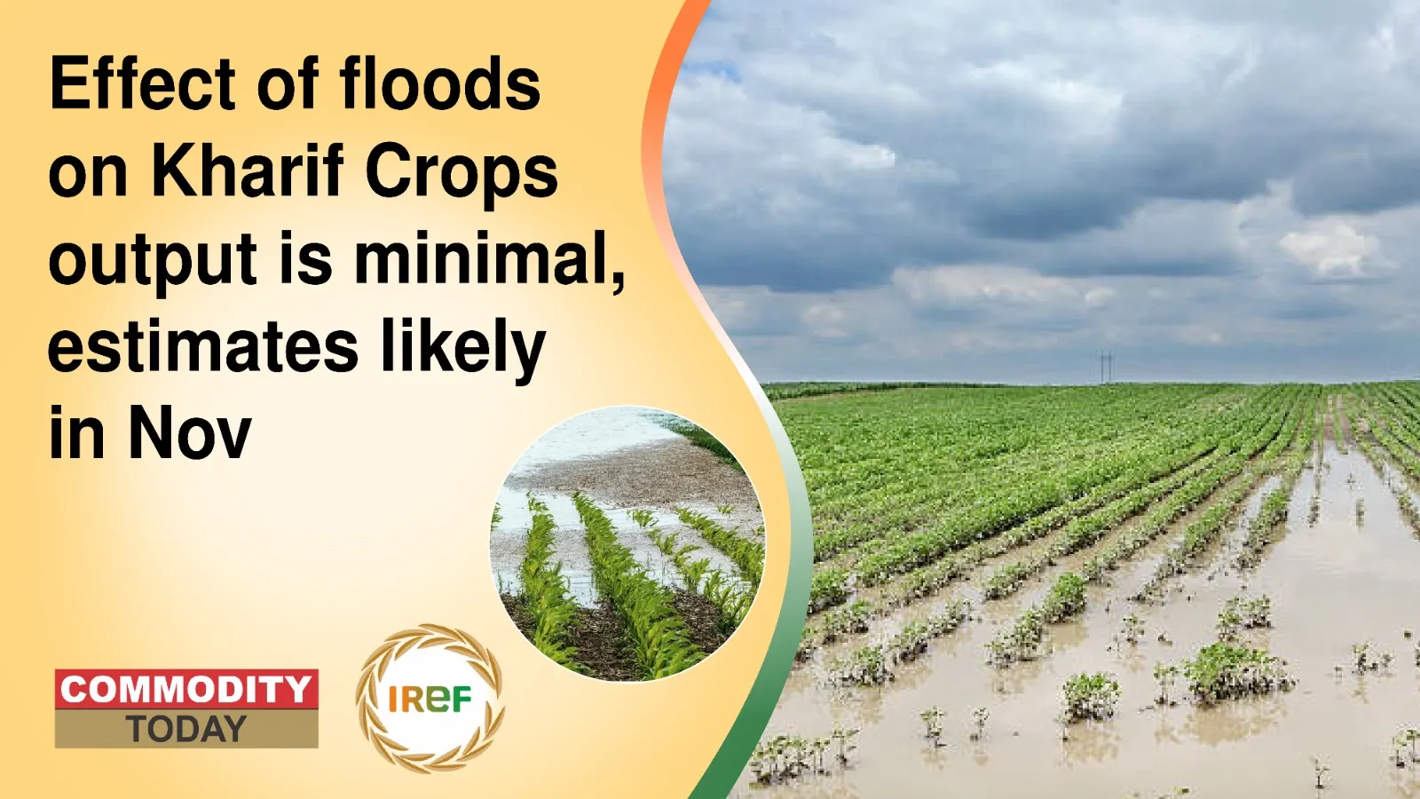 Effect of floods on Kharif Crops output is minimal, estimates likely in Nov
