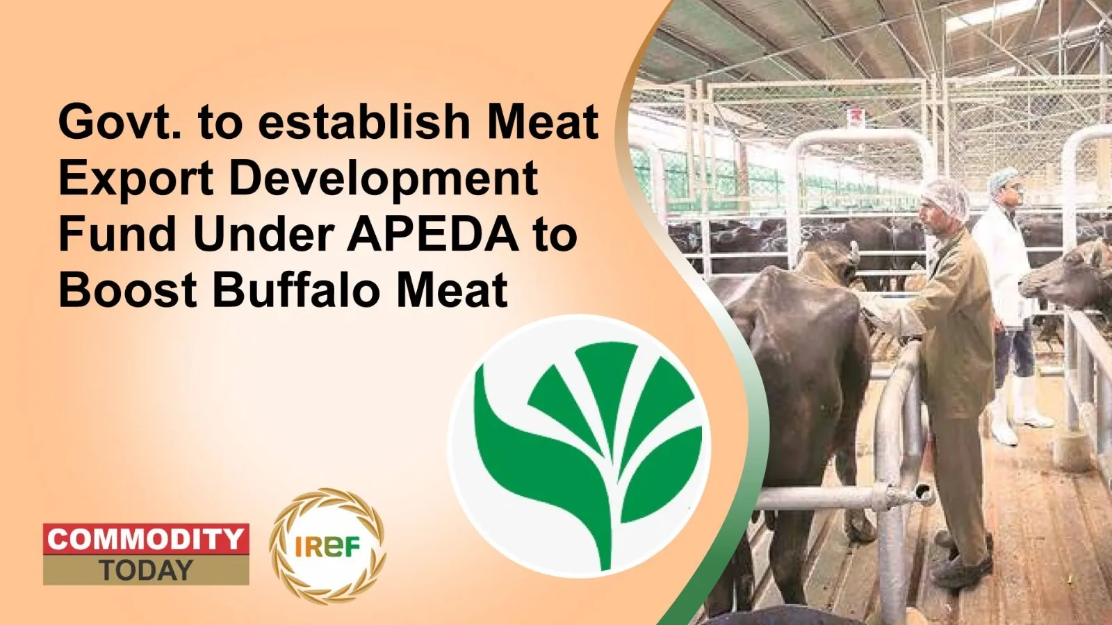 Govt. to establish Meat Export Development Fund Under APEDA to Boost Buffalo Meat Exports