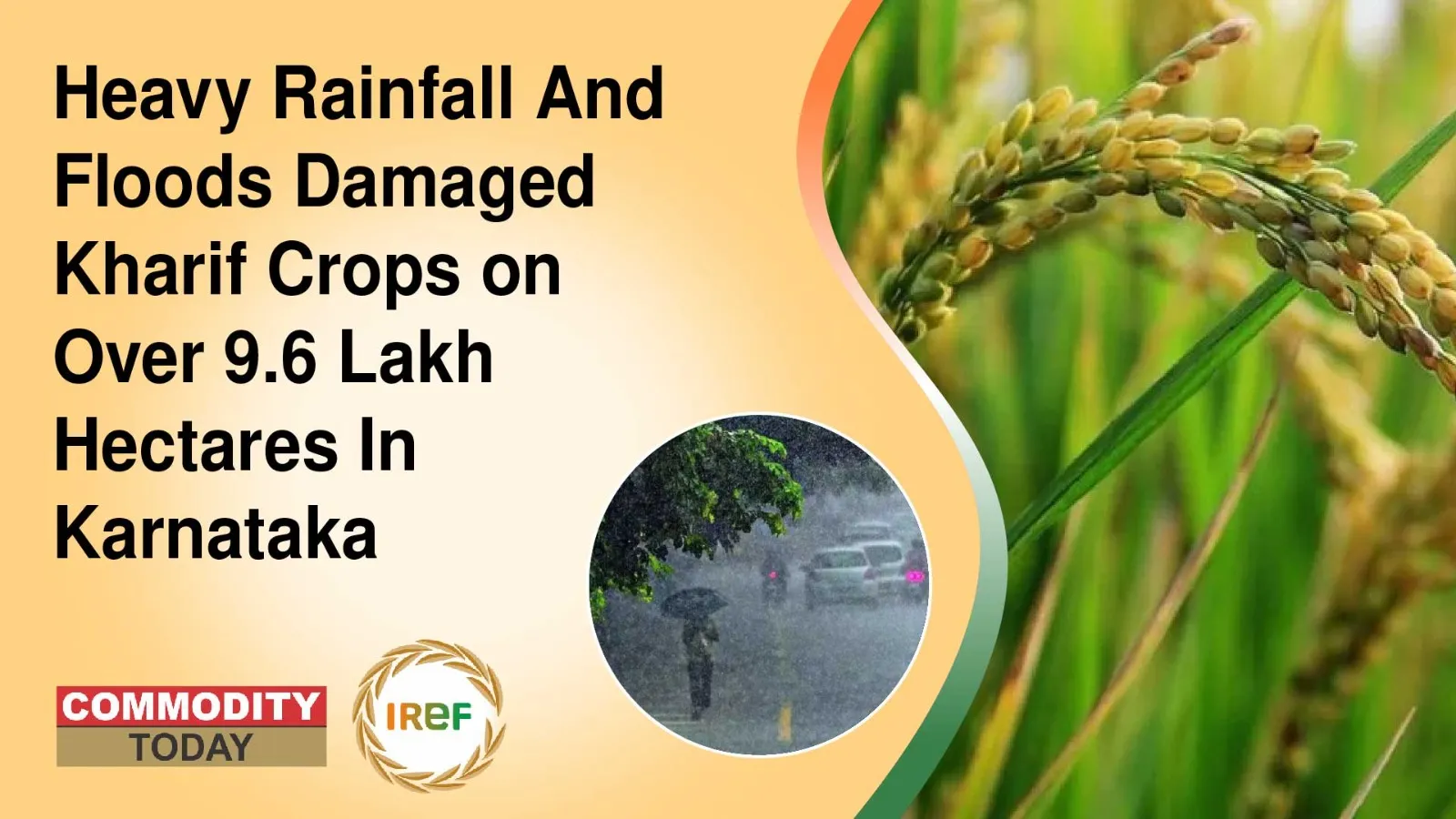 Heavy Rainfall And Floods Damaged Kharif Crops on Over 9.6 Lakh Hectares In Karnataka