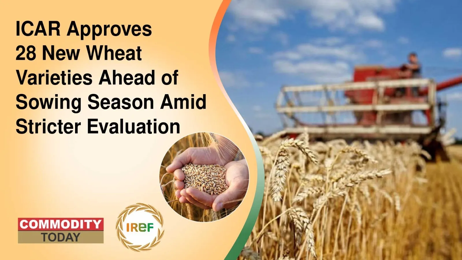 ICAR Approves 28 New Wheat Varieties Ahead of Sowing Season Amid Stricter Evaluation