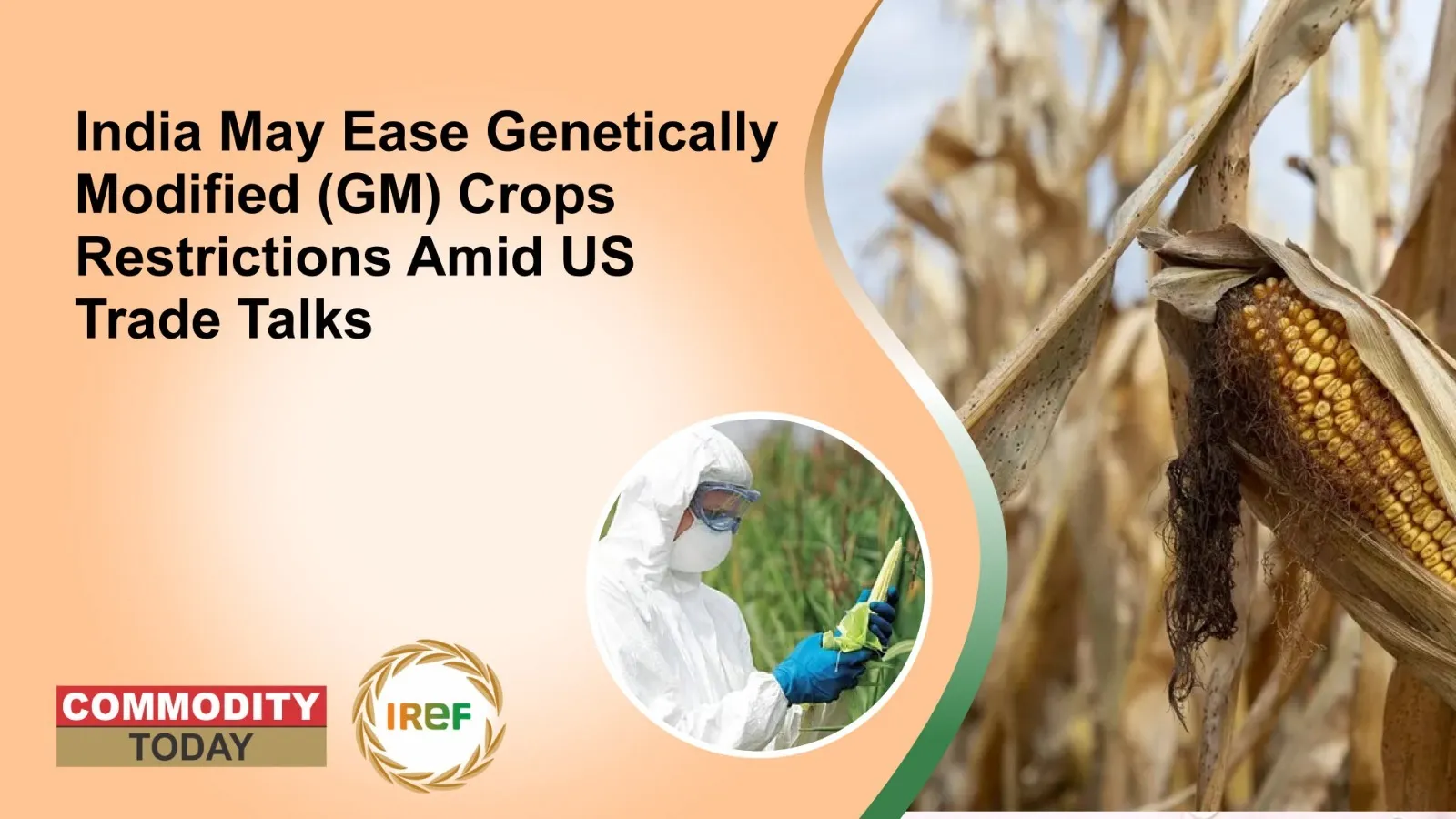 India May Ease Genetically Modified (GM) Crops Restrictions Amid US Trade Talks