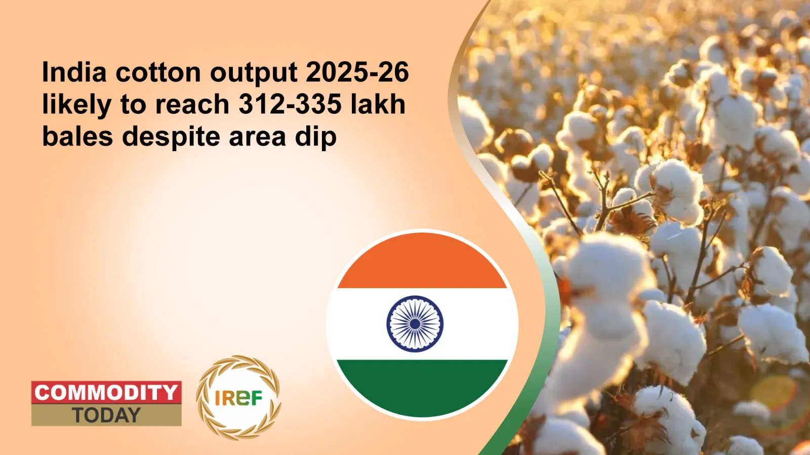 India cotton output 2025-26 likely to reach 312-335 lakh bales despite area dip