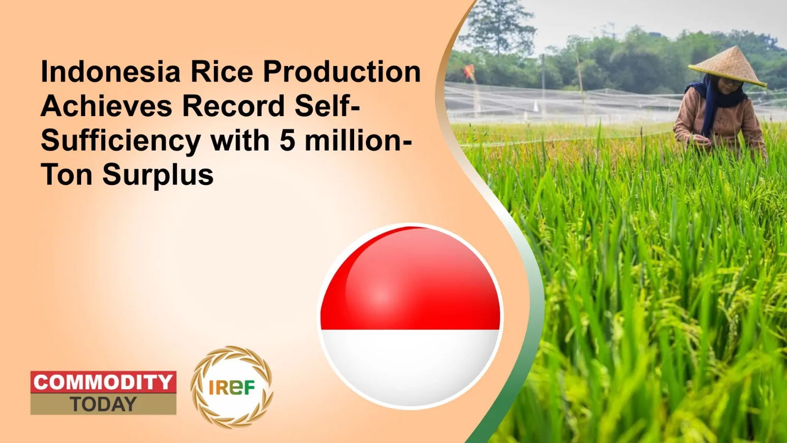 Indonesia Rice Production Achieves Record Self-Sufficiency with 5 million-Ton Surplus