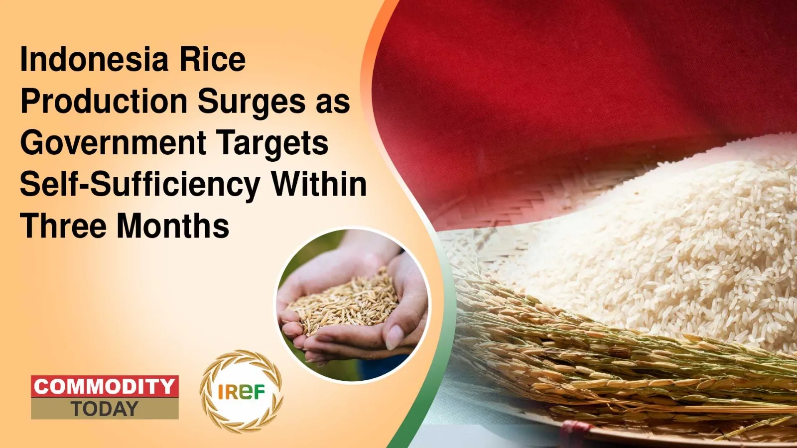 Indonesia Rice Production Surges as Government Targets Self-Sufficiency Within Three Months