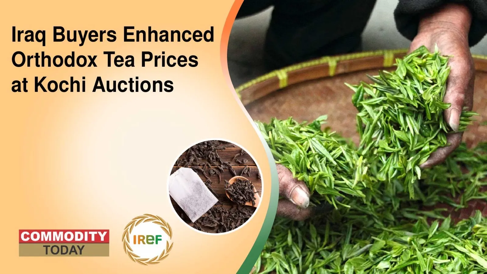 Iraq Buyers Enhanced Orthodox Tea Prices at Kochi Auctions