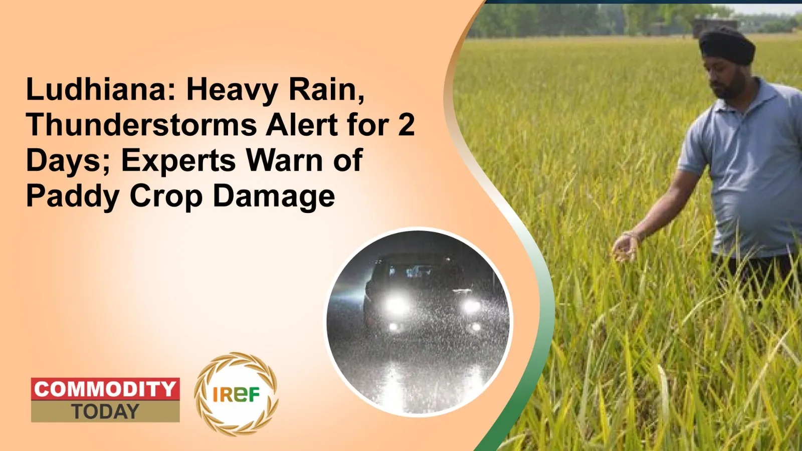 Ludhiana: Heavy Rain, Thunderstorms Alert for 2 Days; Experts Warn of Paddy Crop Damage