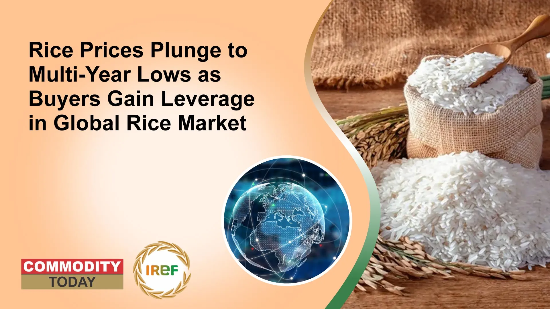 Rice Prices Plunge to Multi-Year Lows as Buyers Gain Leverage in Global Rice Market