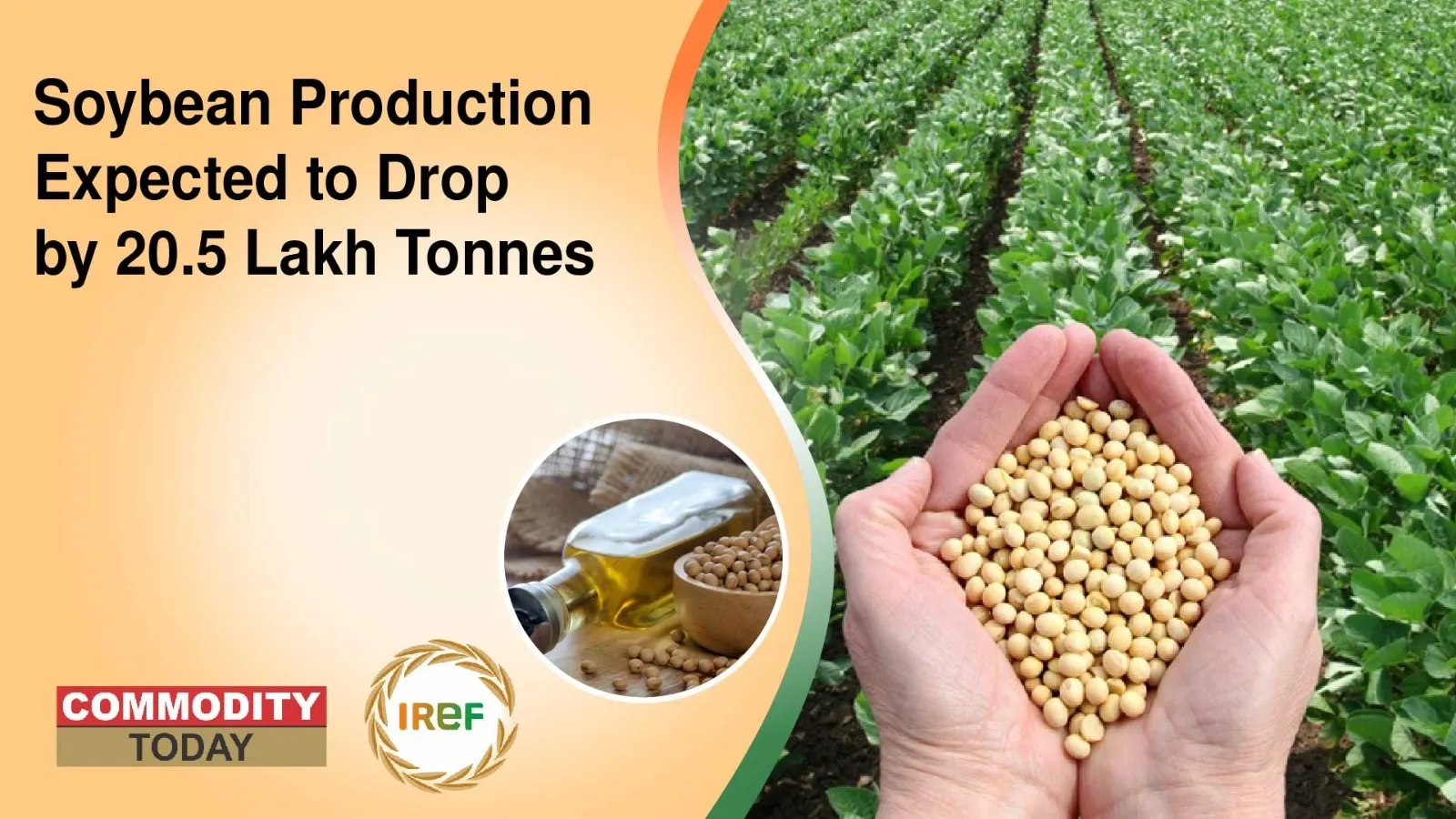 Soybean Production Expected to Drop by 20.5 Lakh Tonnes