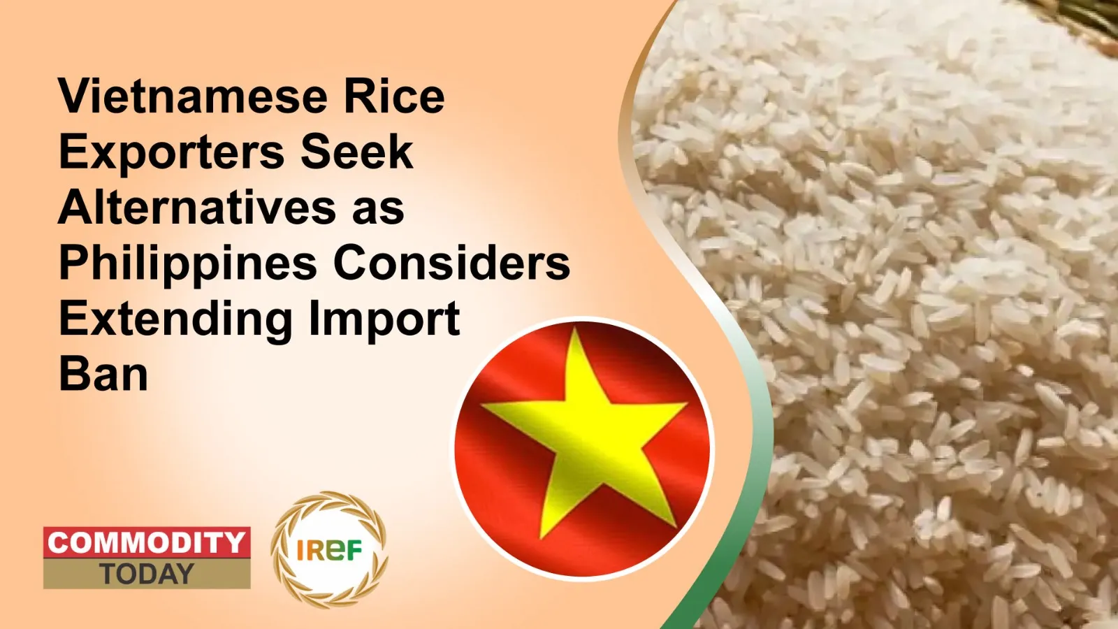 Vietnamese Rice Exporters Seek Alternatives as Philippines Considers Extending Import Ban