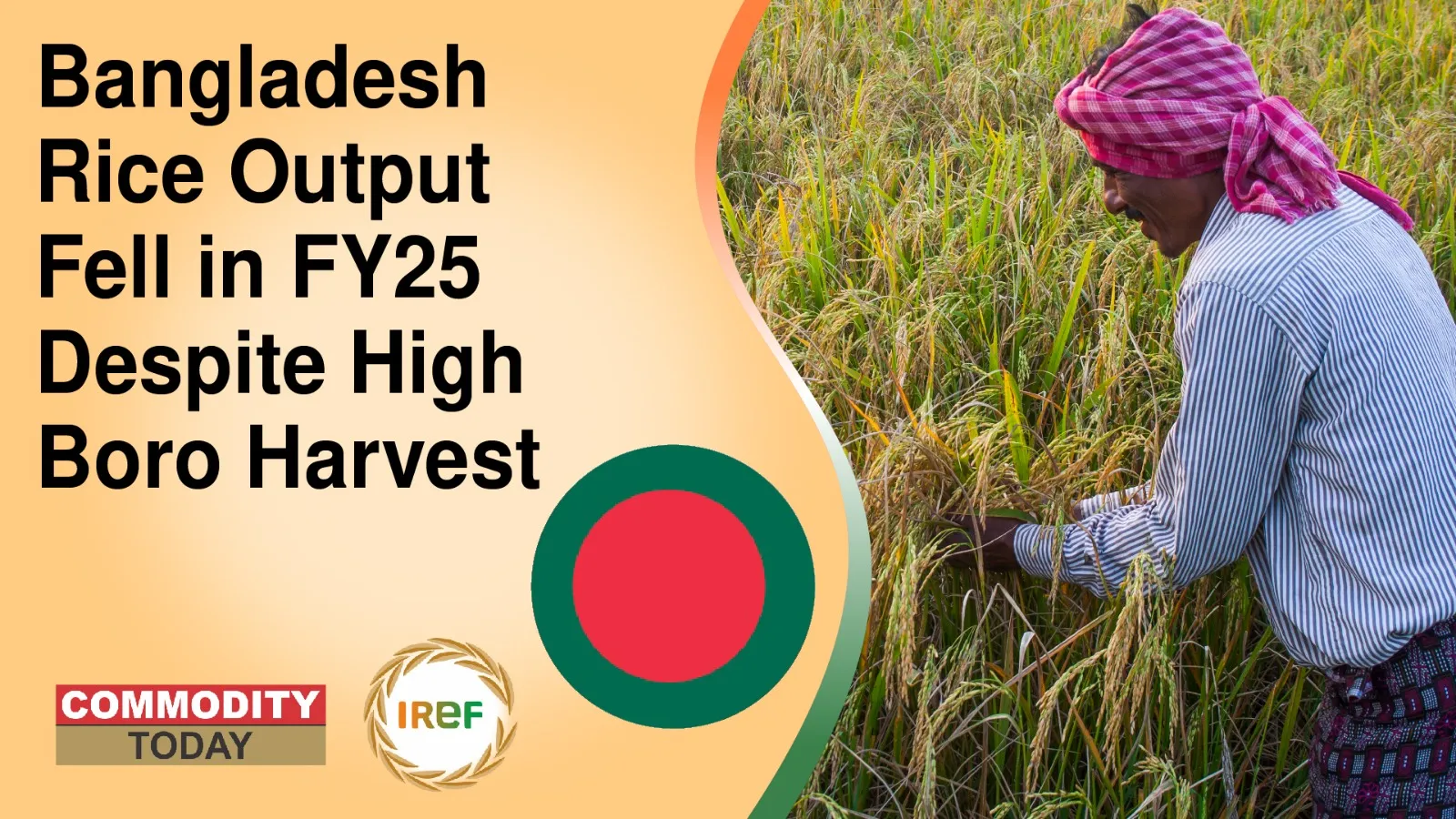 Bangladesh Rice Output Fell in FY25 Despite High Boro Harvest