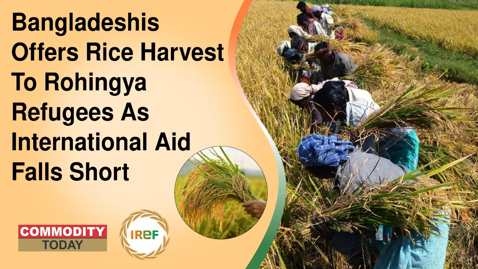 Bangladeshis Offers Rice Harvest To Rohingya Refugees As International Aid Falls Short