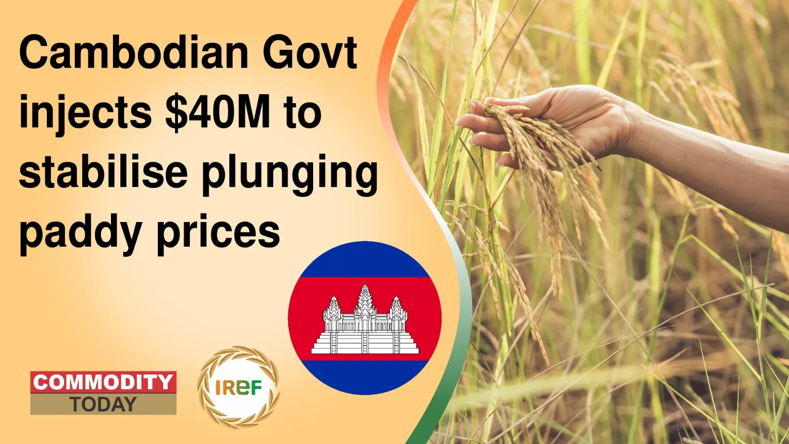 Cambodian Govt injects $40M to stabilize Plunging Rice Prices