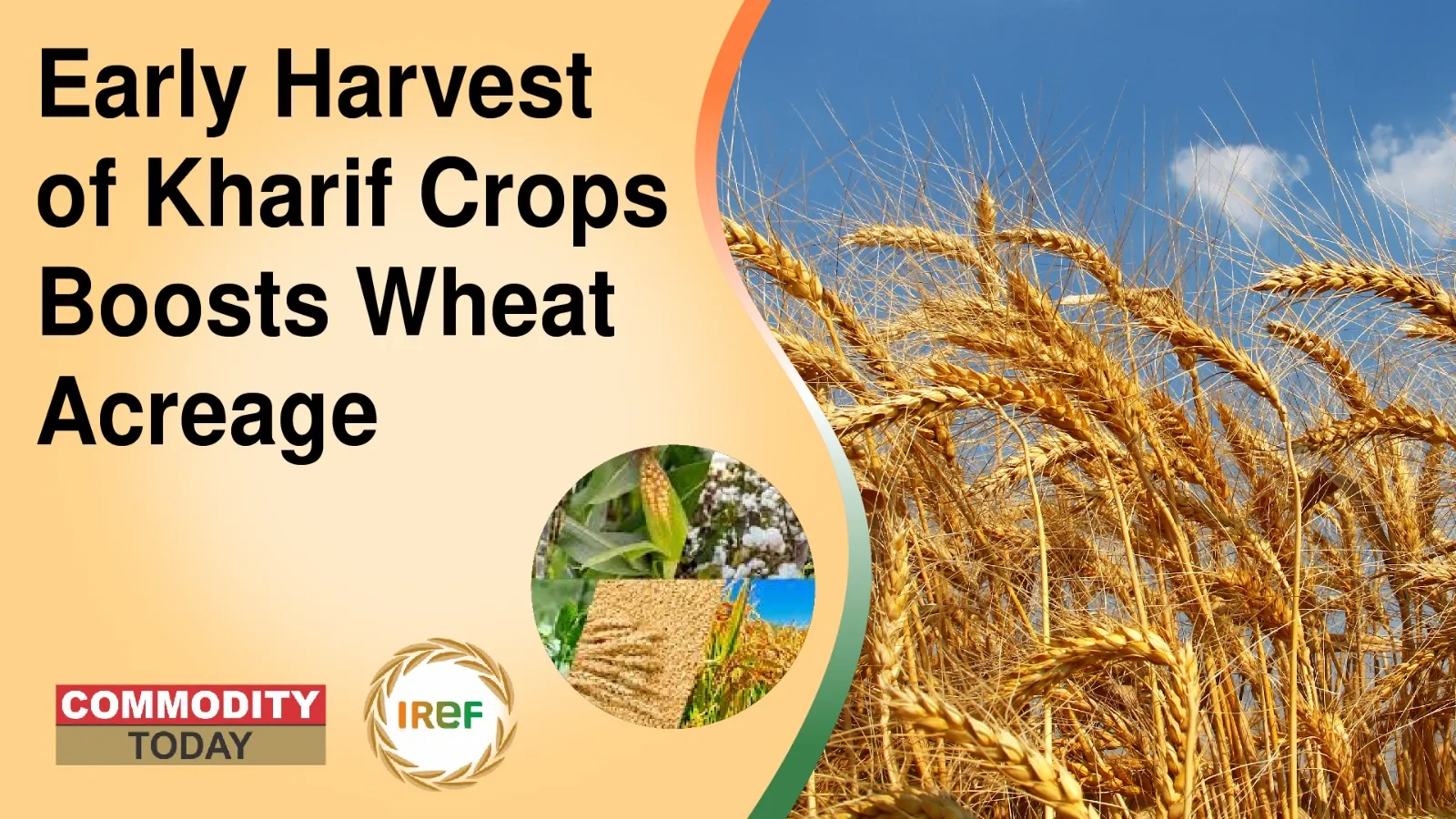 Early Harvest of Kharif Crops Boosts Wheat Acreage