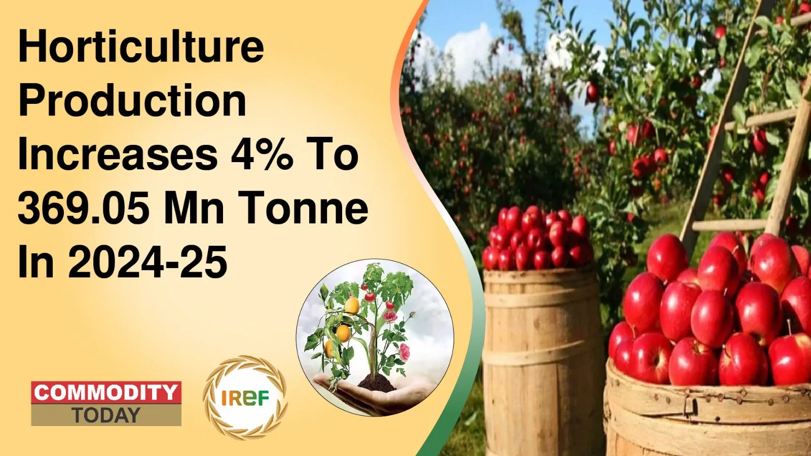 Horticulture Production Increases 4% To 369.05 Mn Tonne In 2024-25