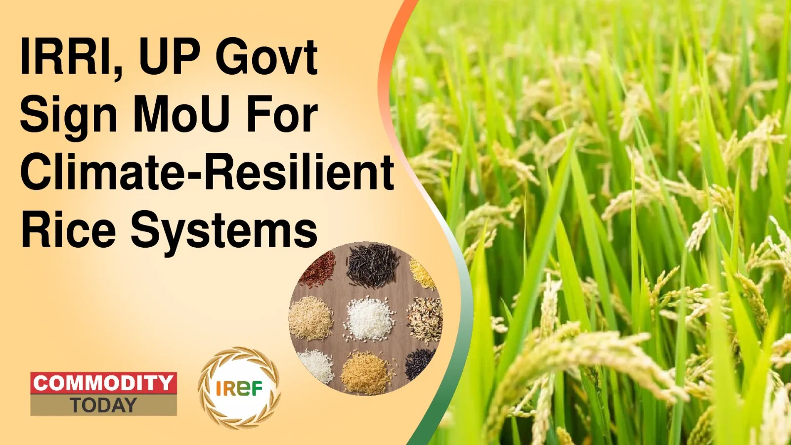 IRRI, UP Govt Sign MoU For Climate-Resilient Rice Systems