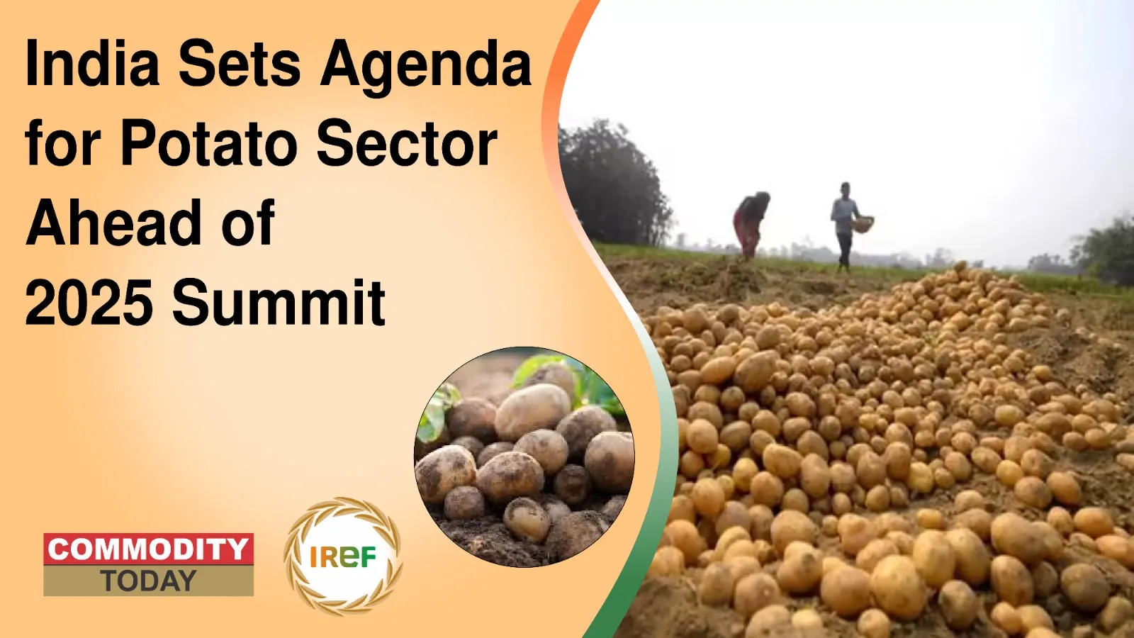 India Potato Sector Sets Agenda Ahead of 2025 Summit