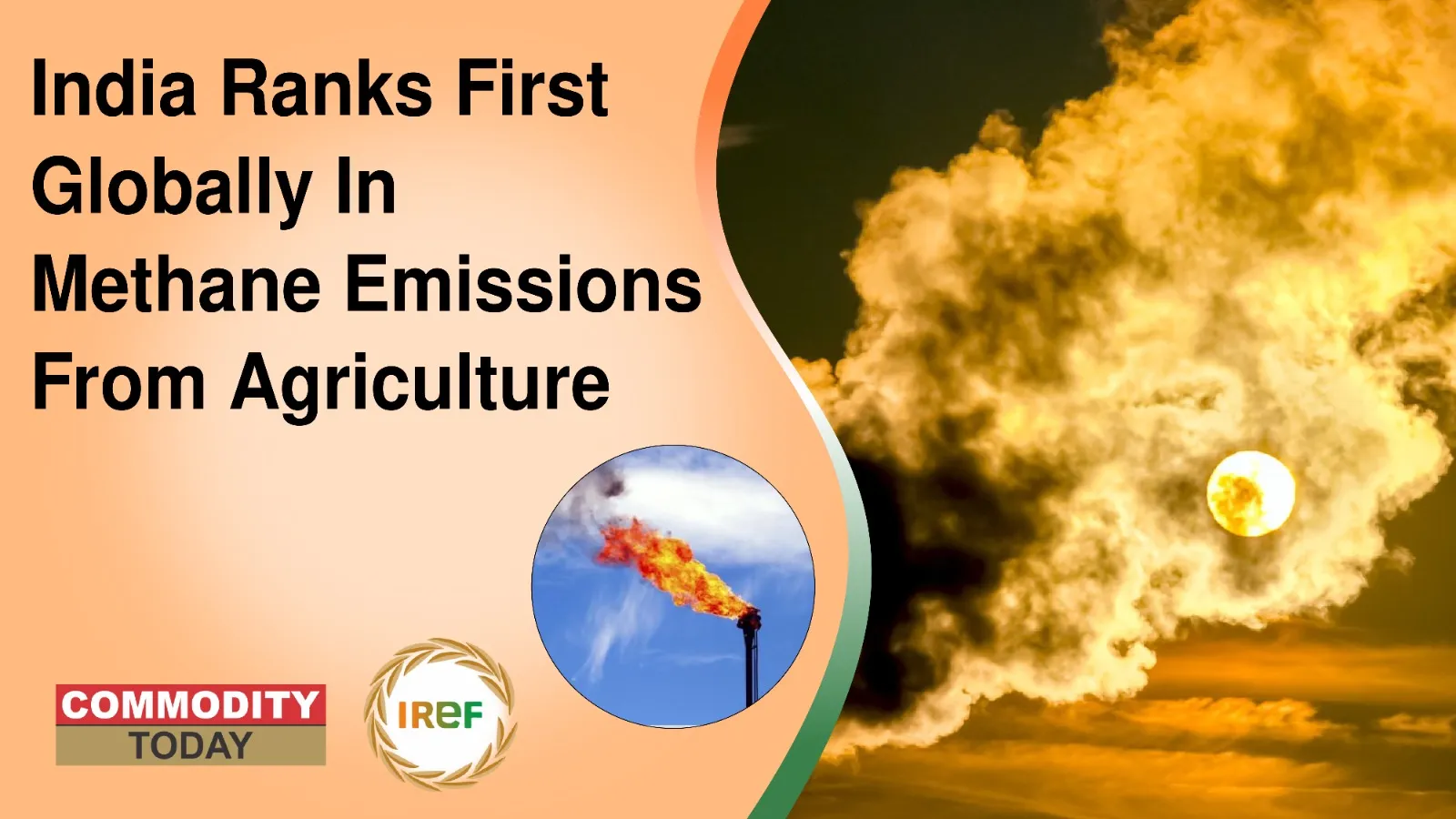 India Ranks First Globally In Methane Emissions From Agriculture: UN Body