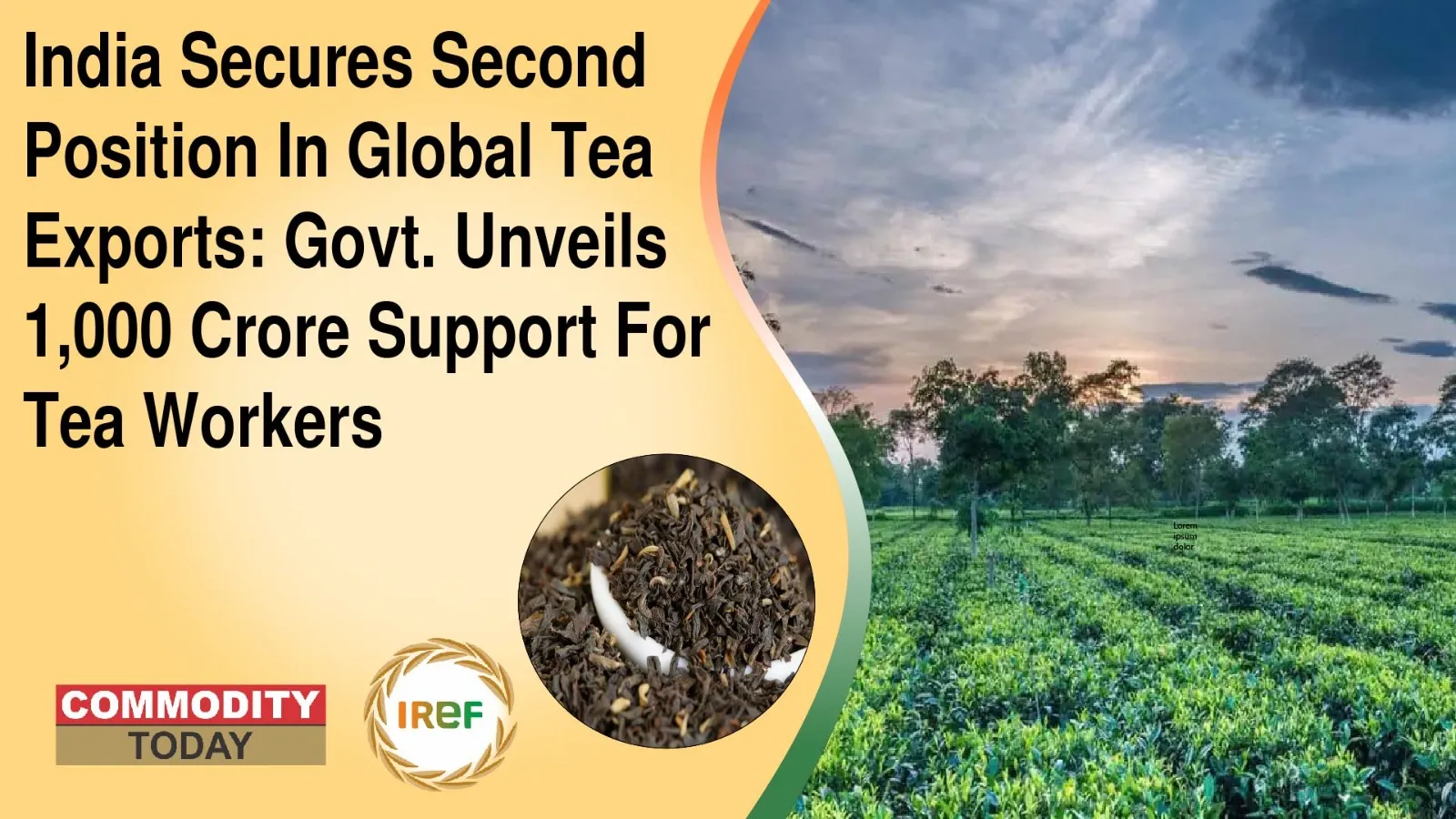 India Secures Second Position In Global Tea Exports: Govt. Unveils 1,000 Crore Support For Tea Workers