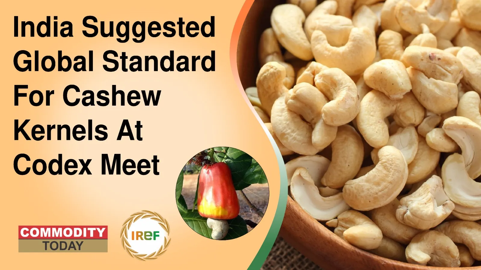 India Suggested Global Standard For Cashew Kernels At Codex Meet