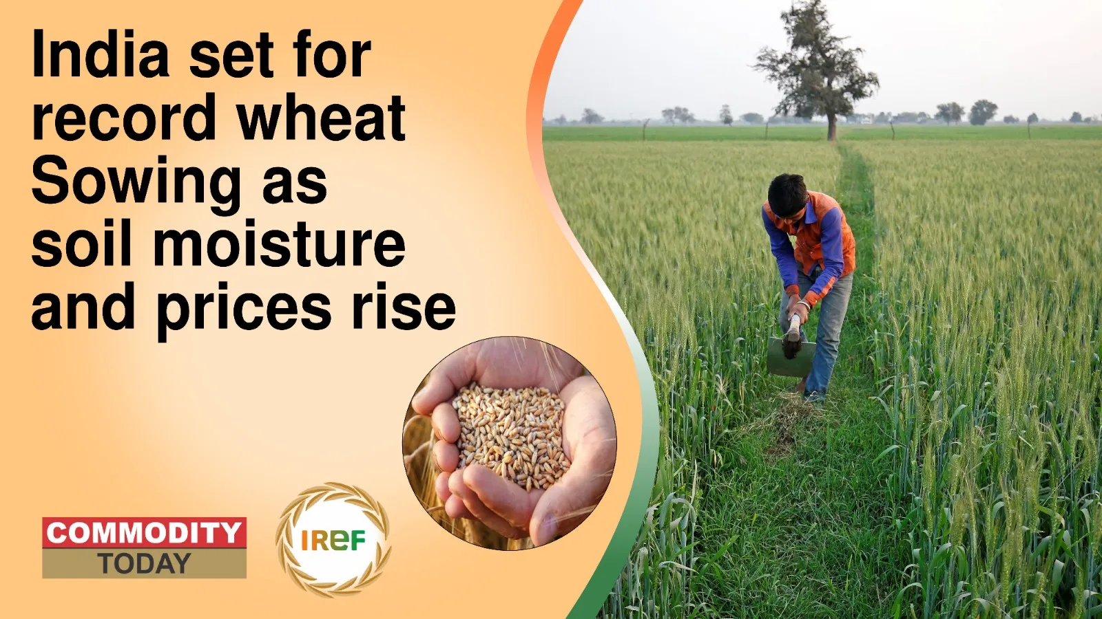 India set for record wheat Sowing as soil moisture and prices rise