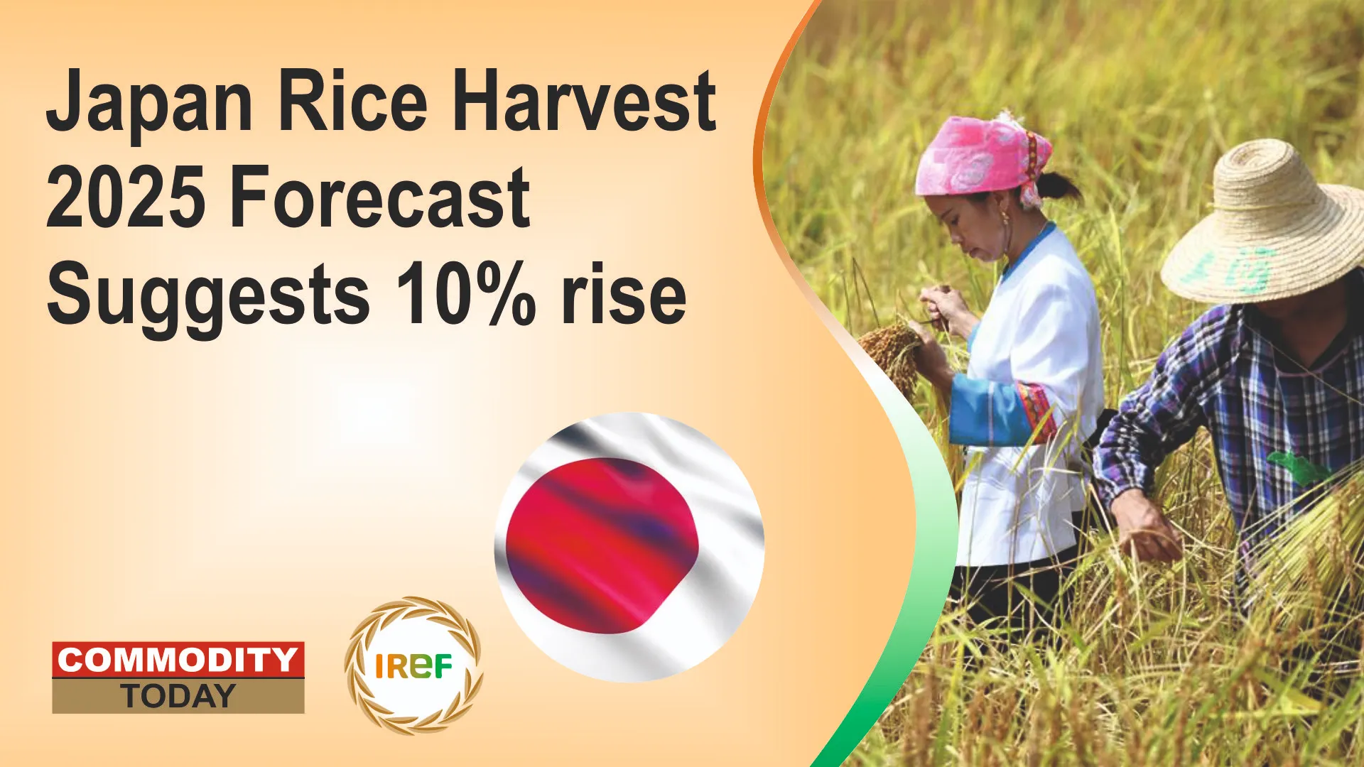 Japan Rice Harvest 2025 Forecast Suggests 10% rise