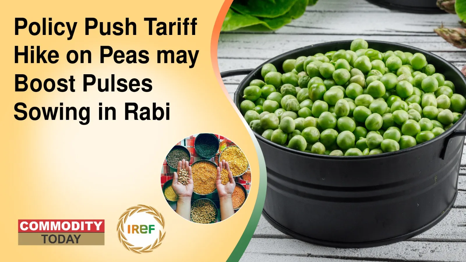 Policy Push Tariff Hike on Peas may Boost Pulses Sowing in Rabi
