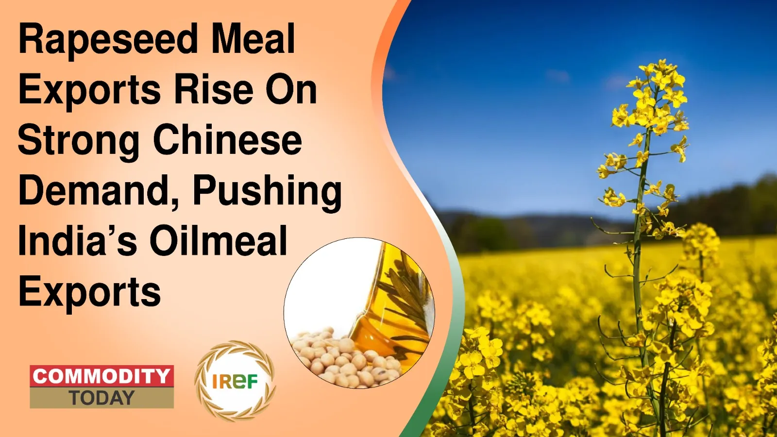 Rapeseed Meal Exports Rise On Strong Chinese Demand, Pushing India’s Oilmeal Exports