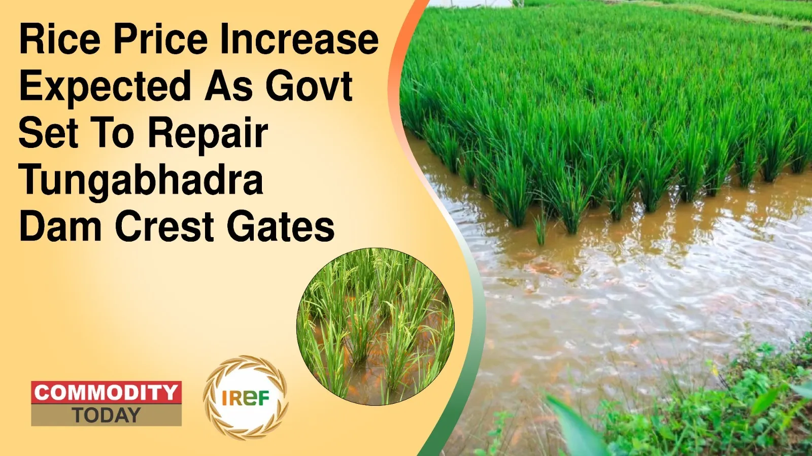 Rice Prices Increase Expected As Govt Set To Repair Tungabhadra Dam Crest Gates