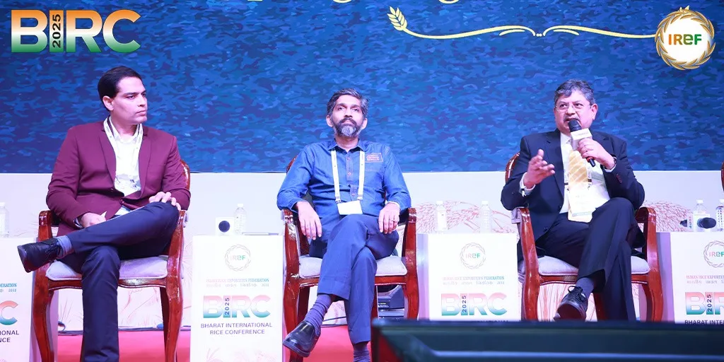 Shipping Logistics for Rice Trade