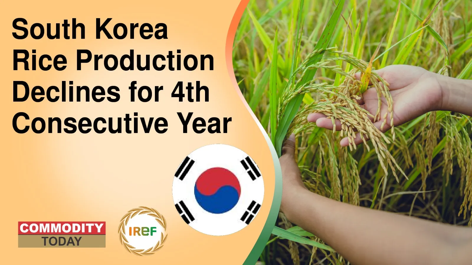 South Korea Rice Production Declines for 4th Consecutive Year