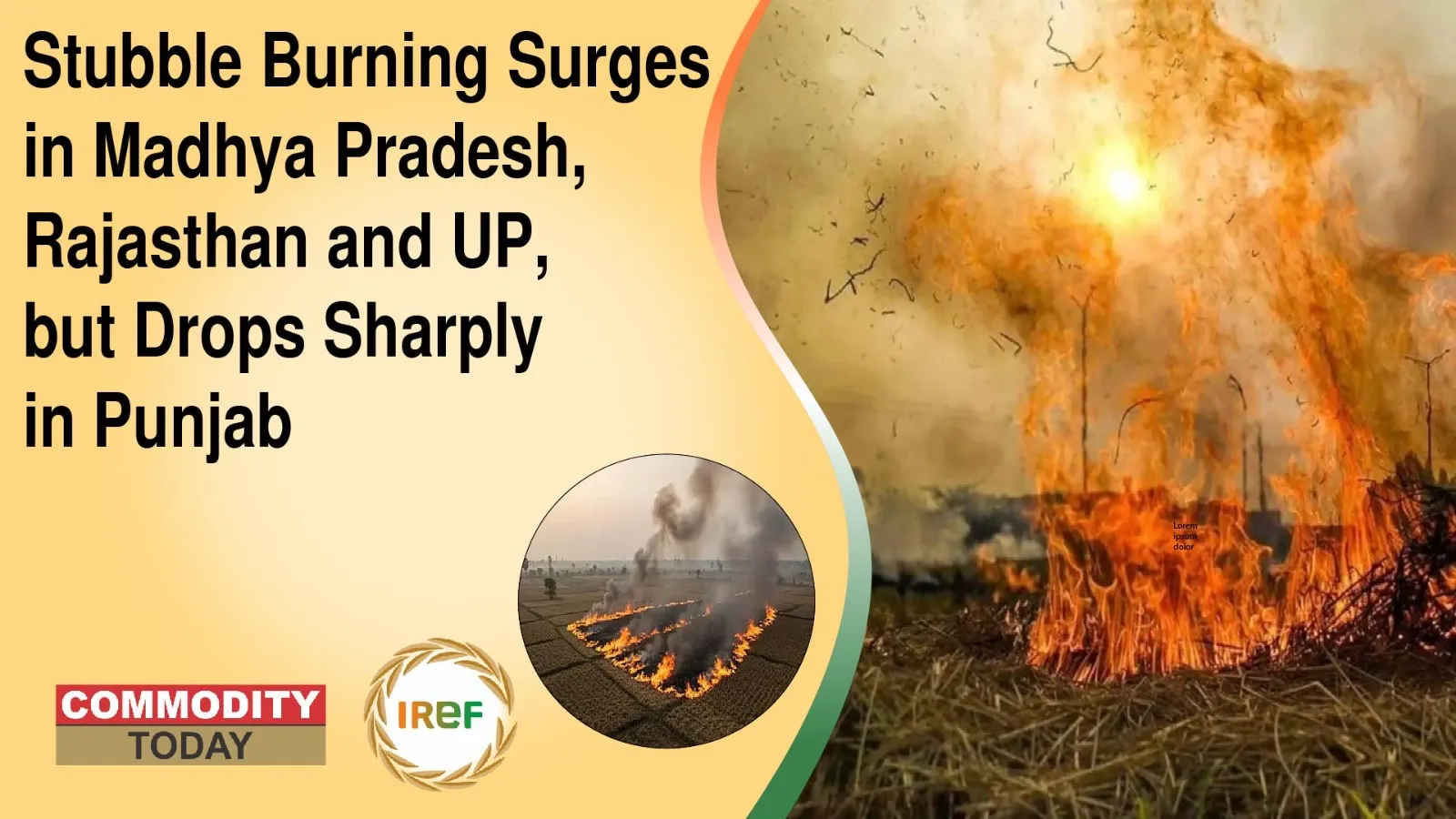 Stubble Burning Surges in Madhya Pradesh, Rajasthan and UP, but Drops Sharply in Punjab