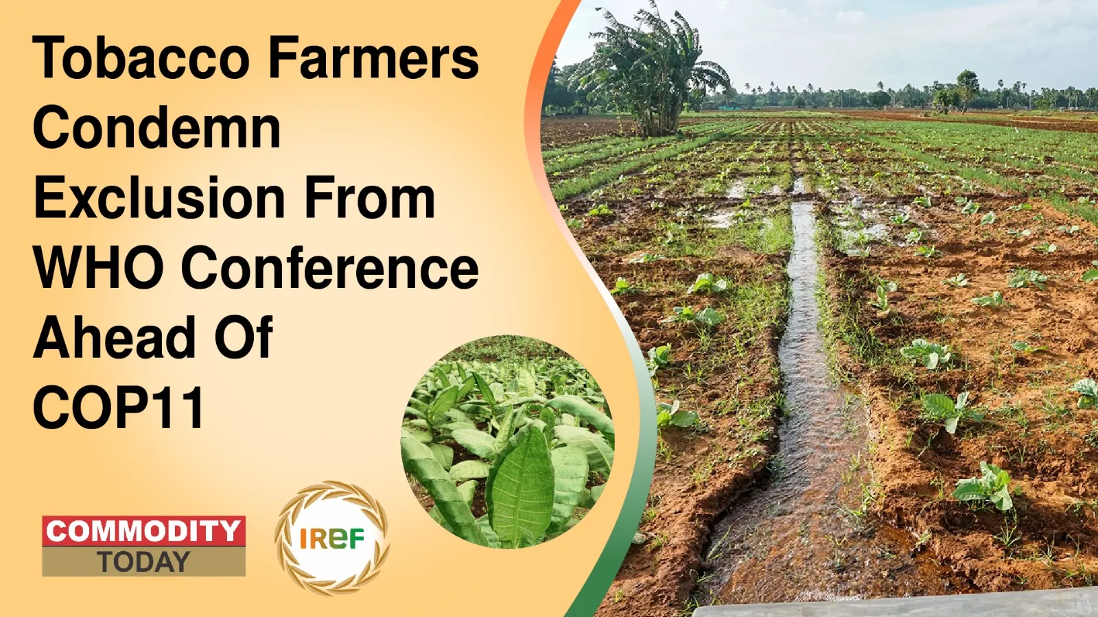 Tobacco Farmers Condemn Exclusion From WHO Conference Ahead of COP11