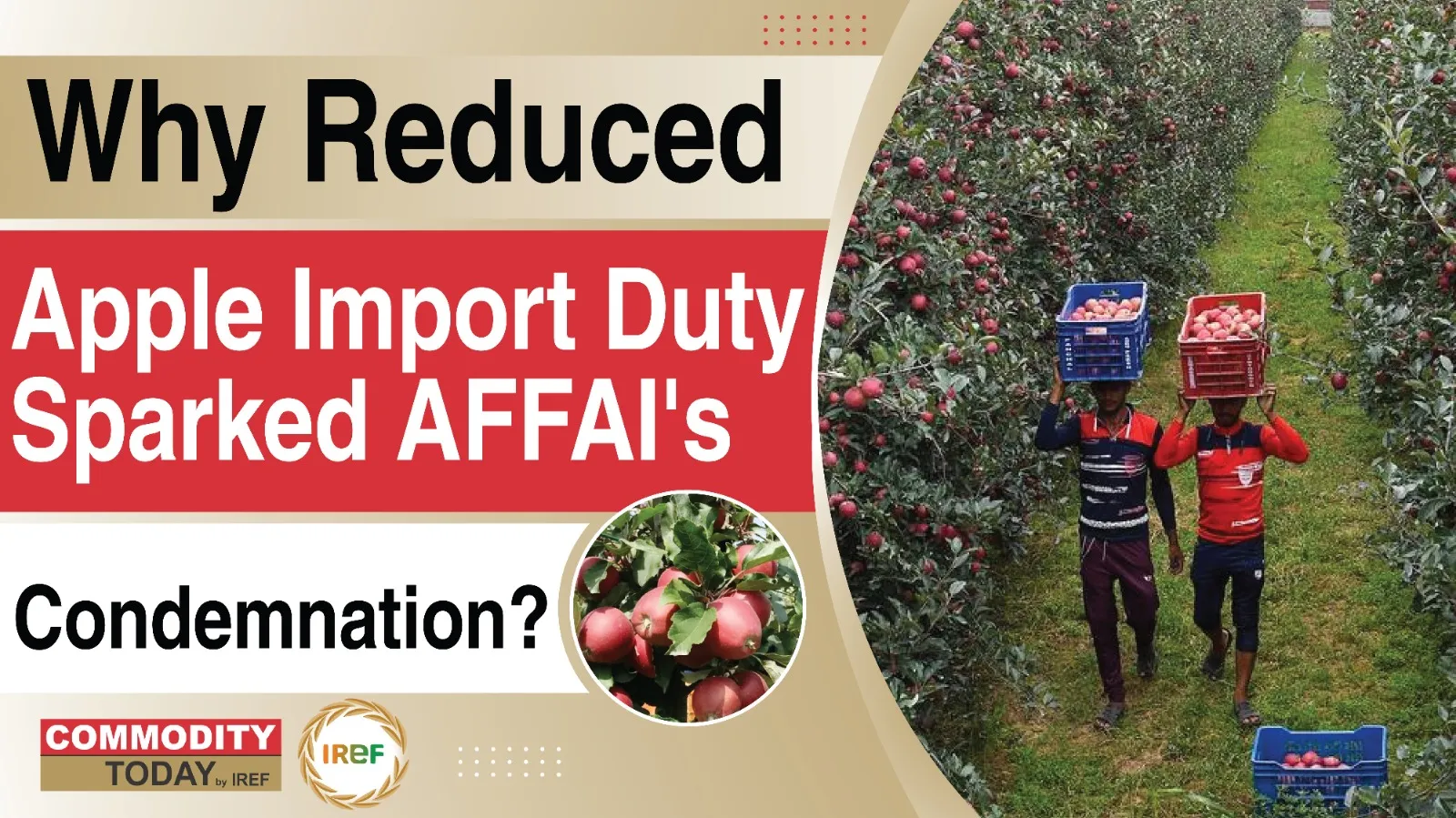 Apple Import Duty Reduced Under India-New Zealand Free Trade Agreement Sparks AFFAI’s Criticism